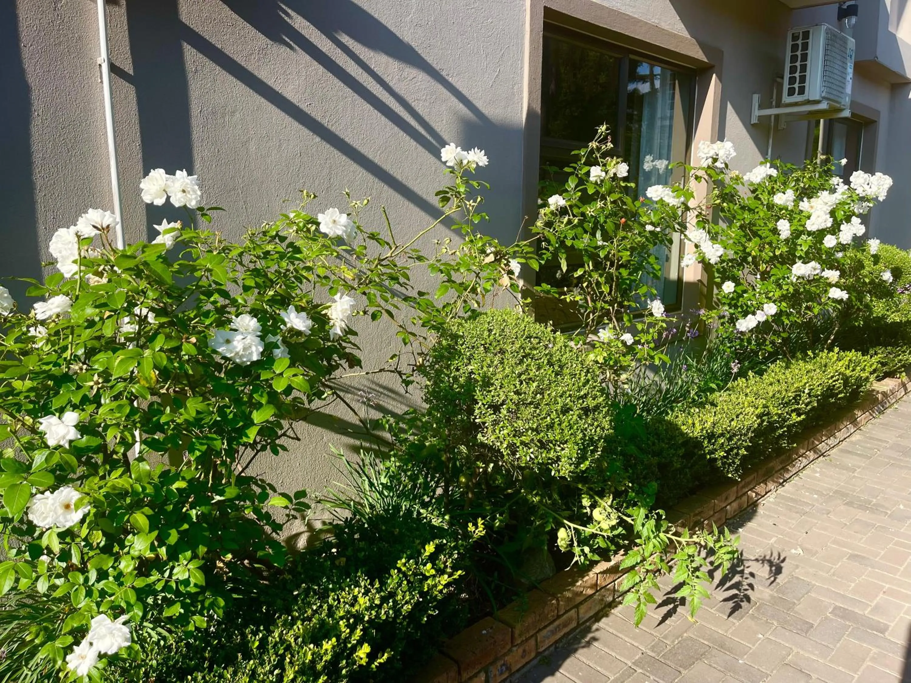 Garden in Azinnia Rivonia Guest House