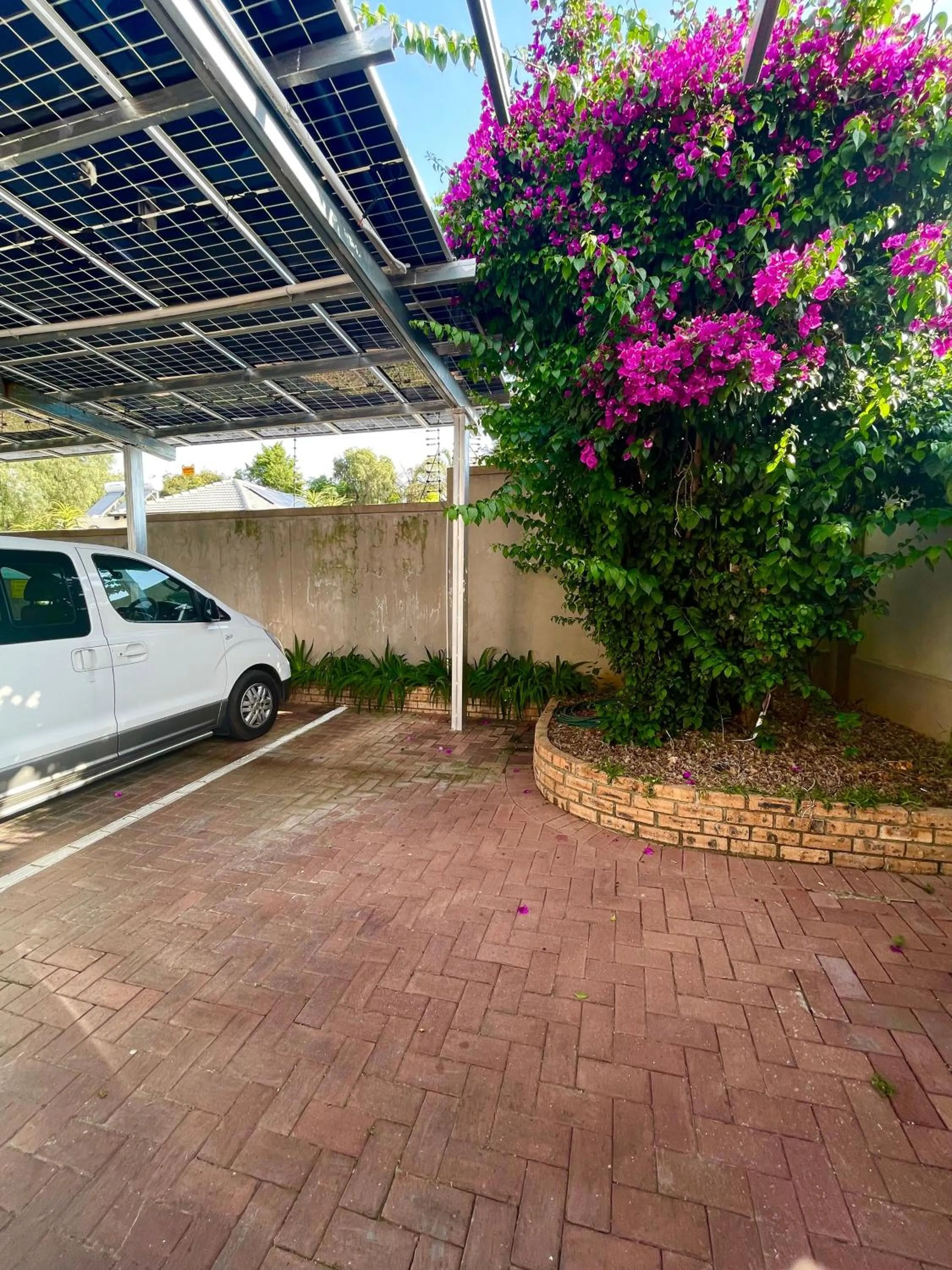 Spring in Azinnia Rivonia Guest House