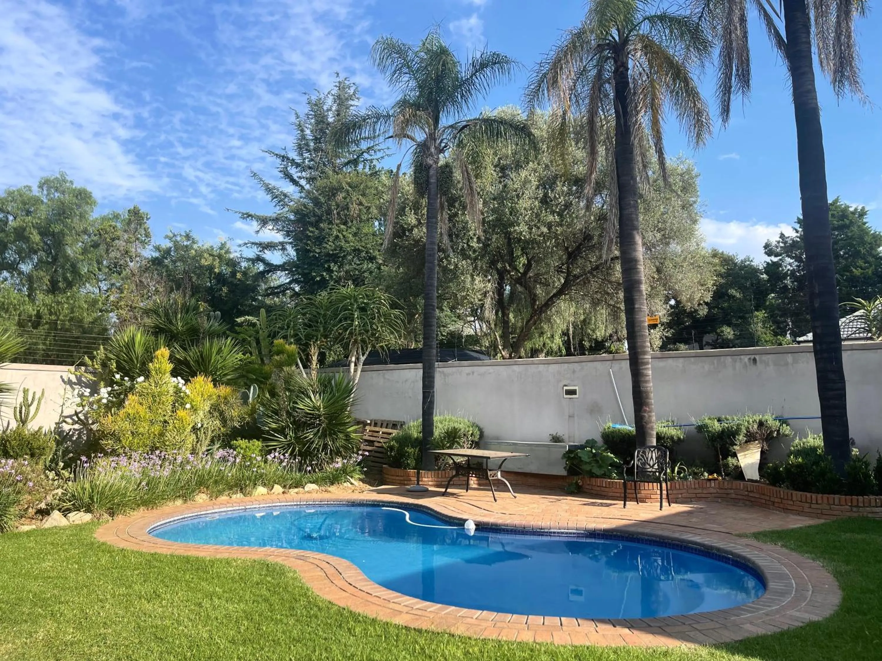 Pool view in Azinnia Rivonia Guest House
