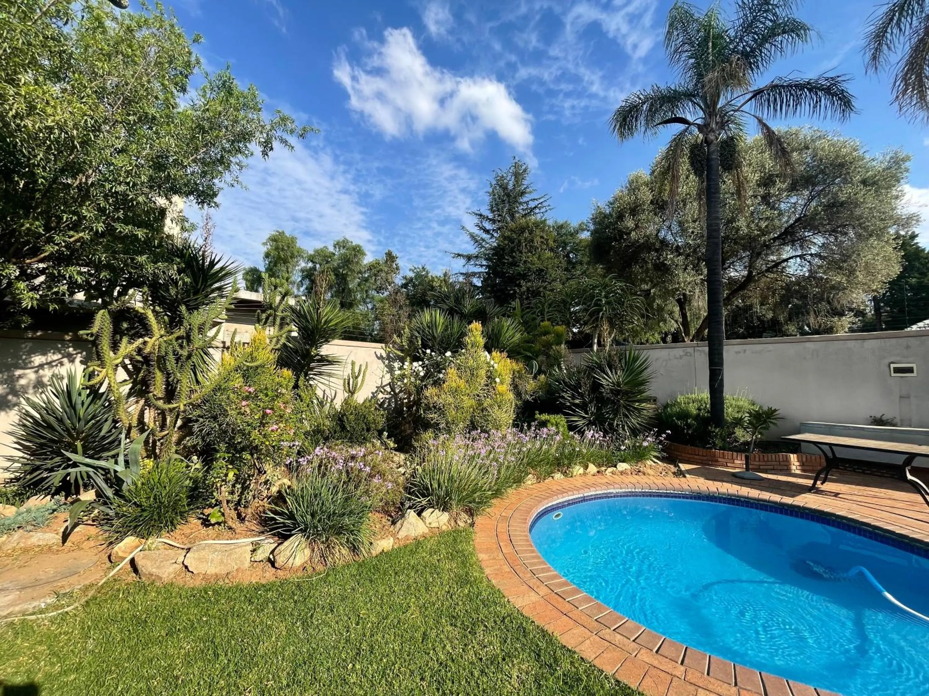 Pool view in Azinnia Rivonia Guest House