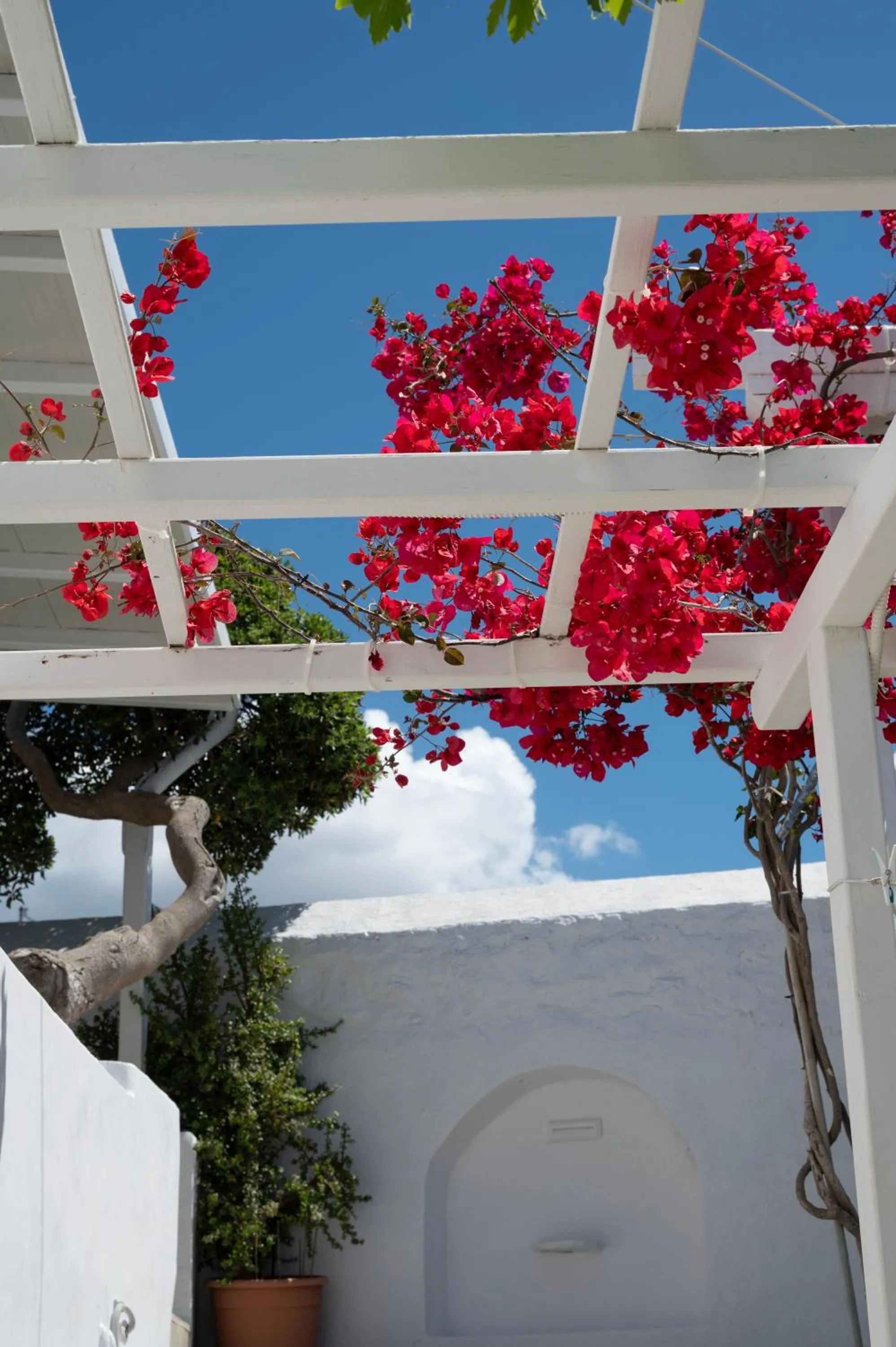 Day in Boutique di Vito