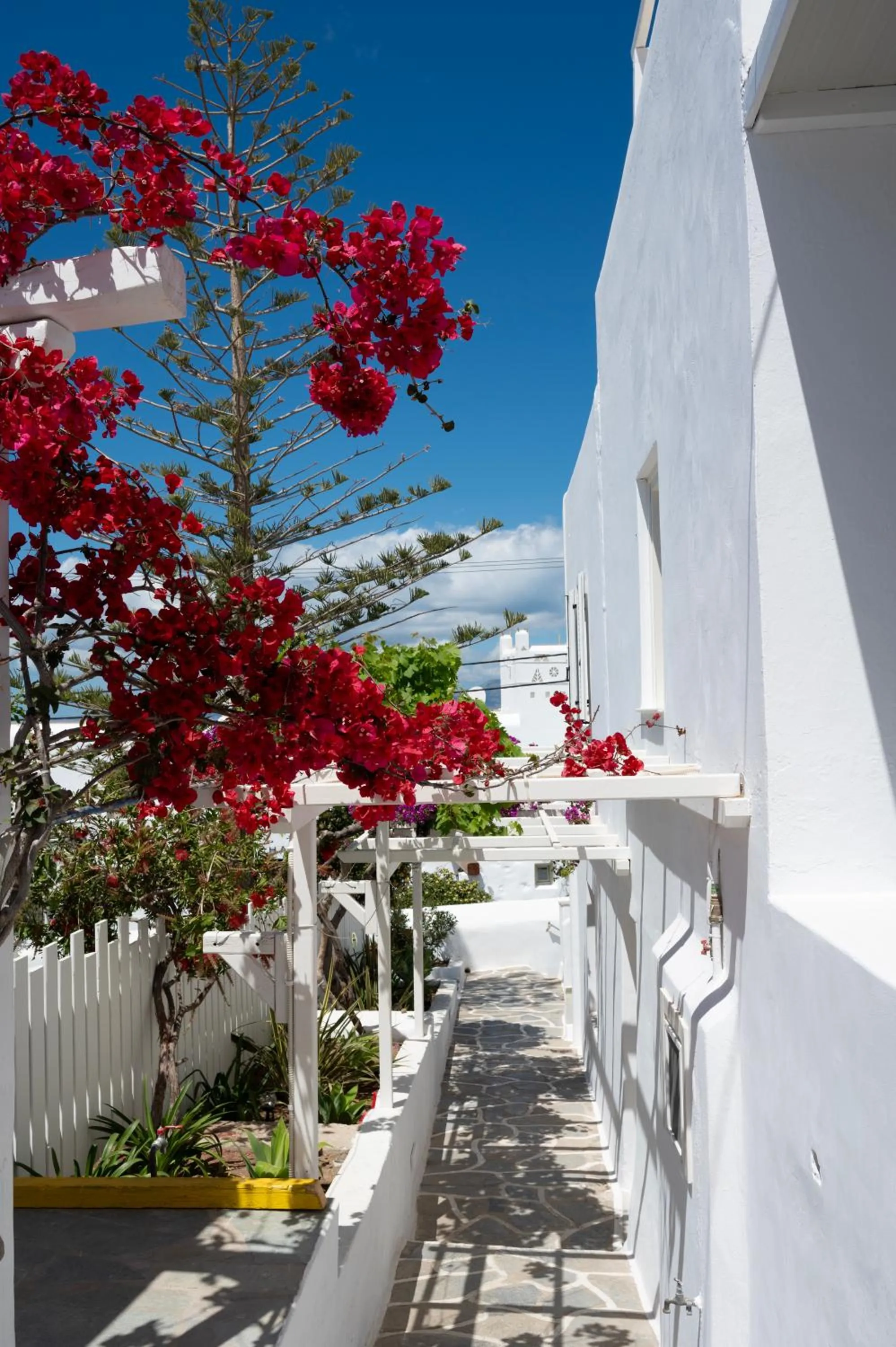 Day in Boutique di Vito