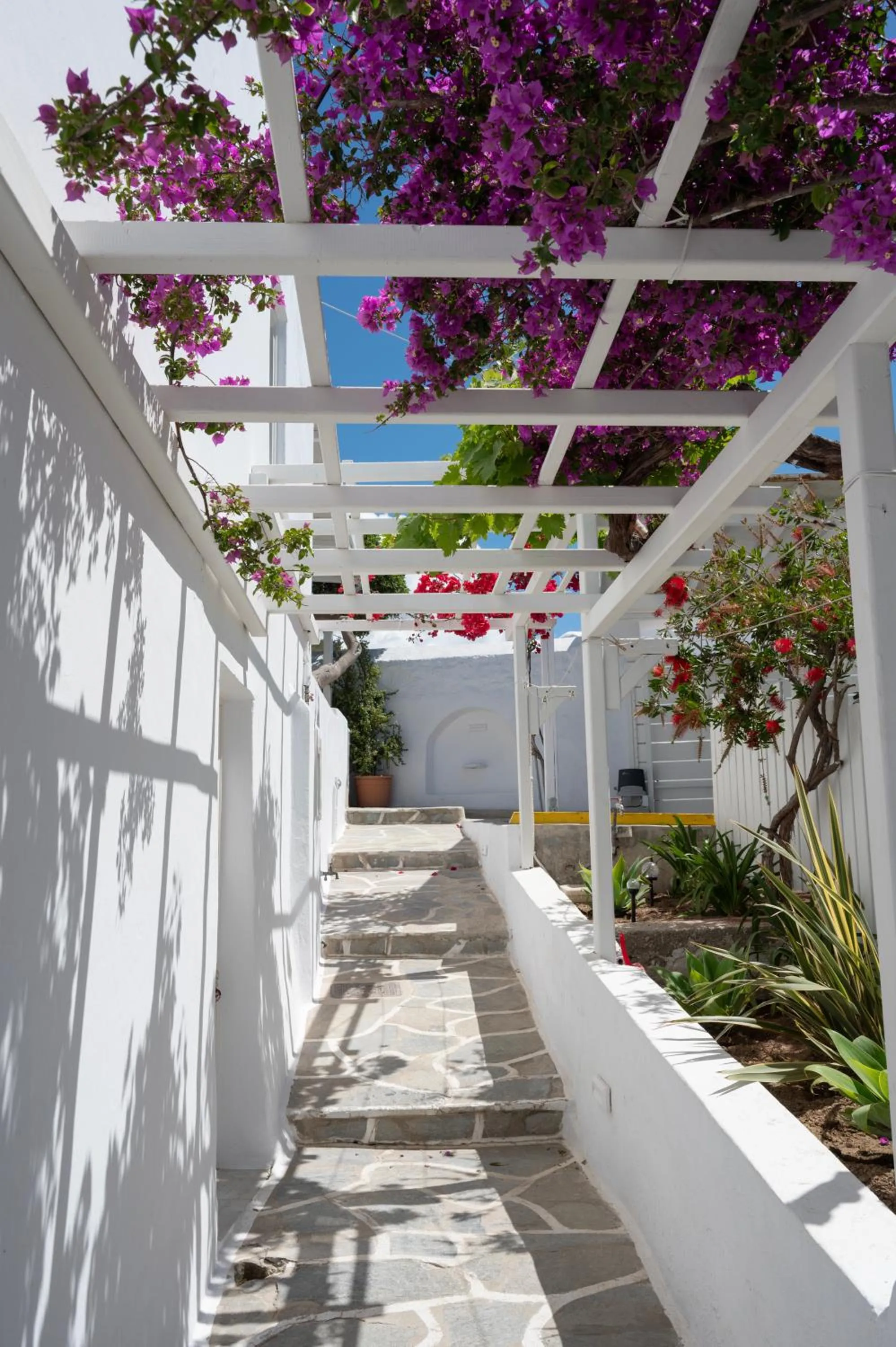 Day in Boutique di Vito