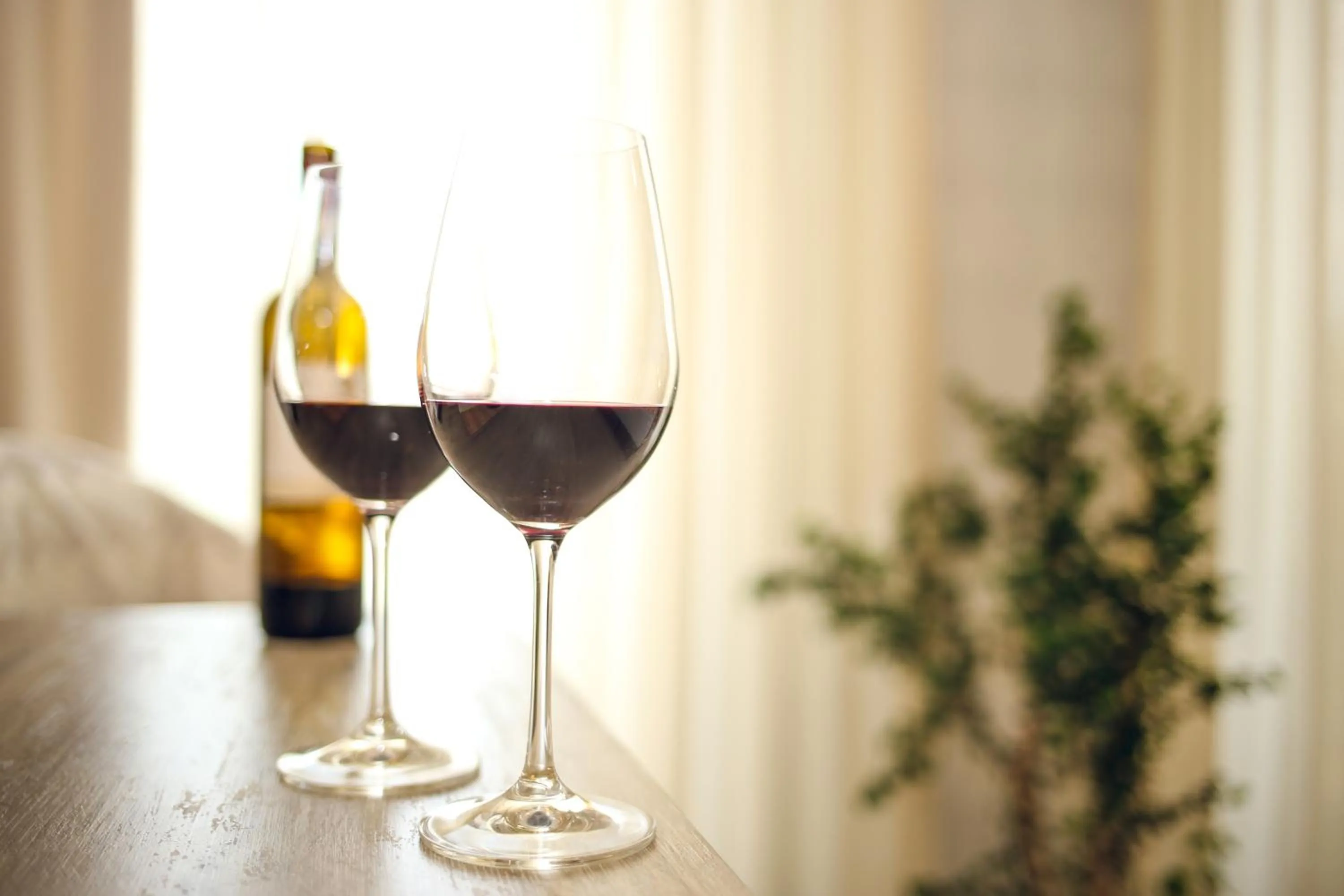 Food and drinks in Kenari Hotel