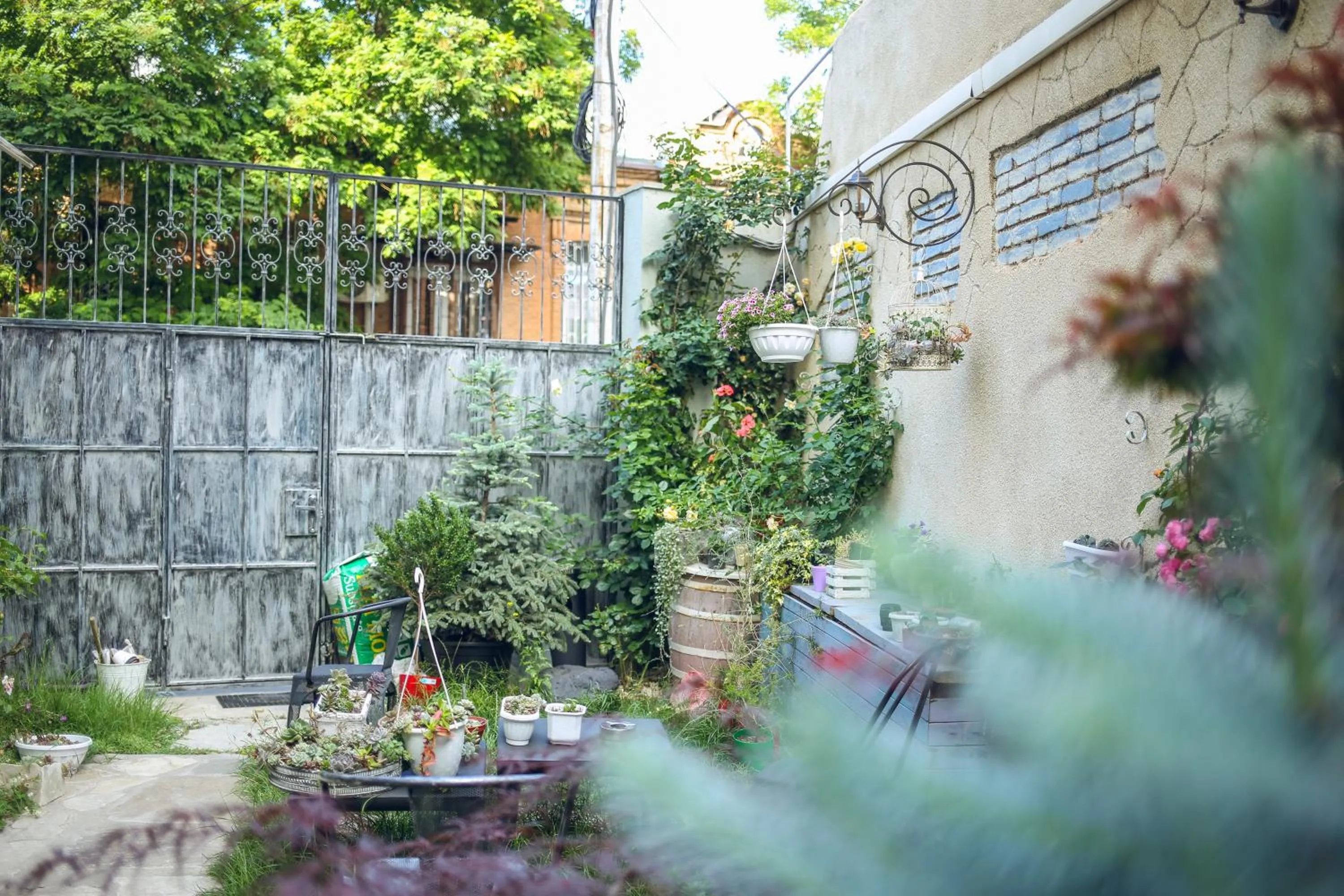 Spring in Kenari Hotel