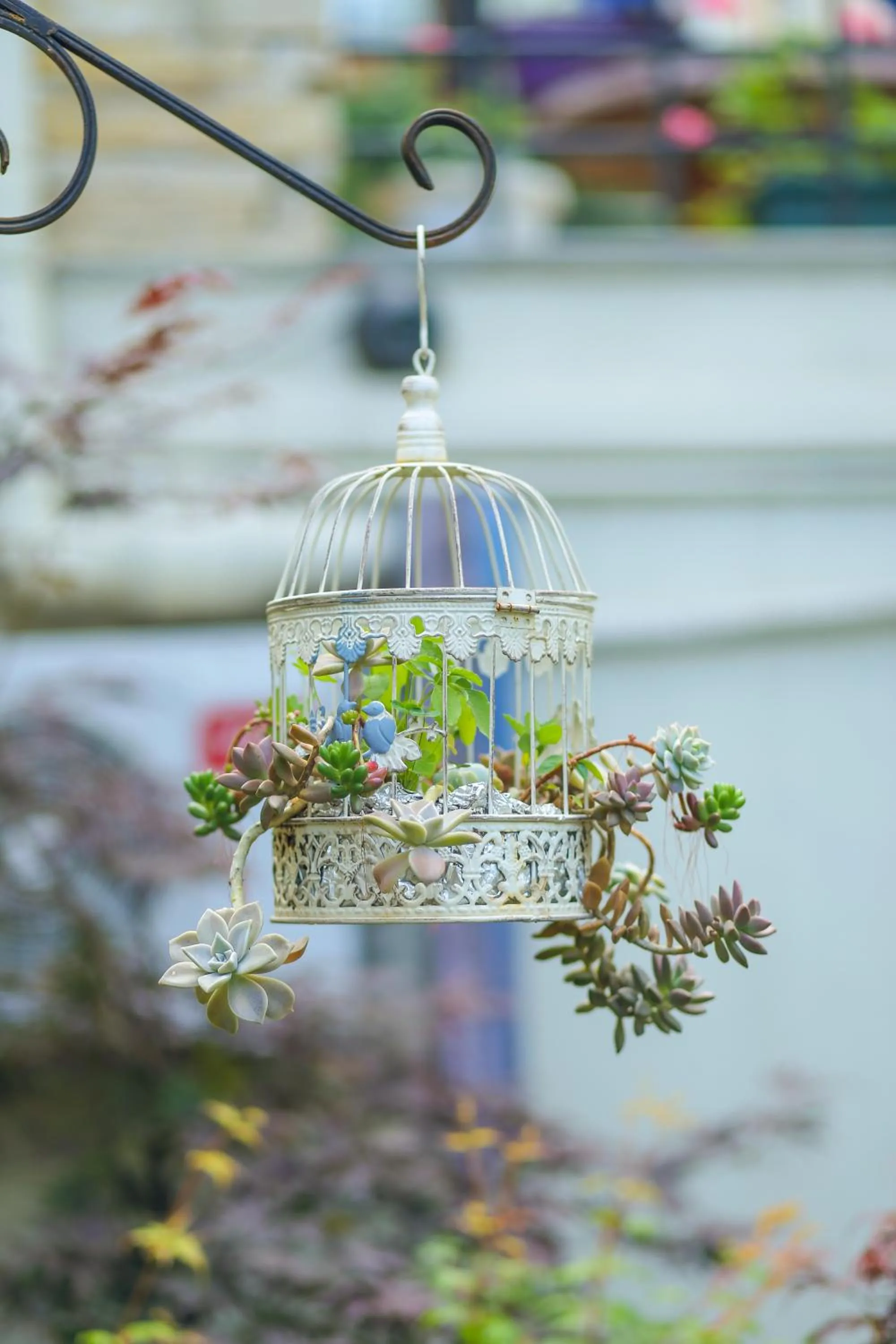 Spring in Kenari Hotel