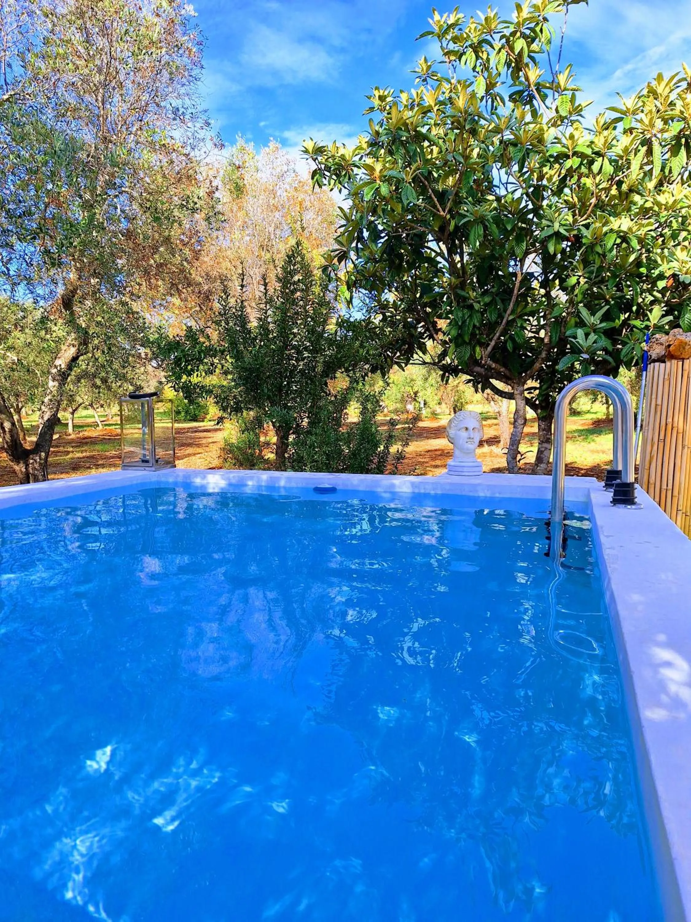 Swimming pool in Casa Trullo Bianco-Casa Olive