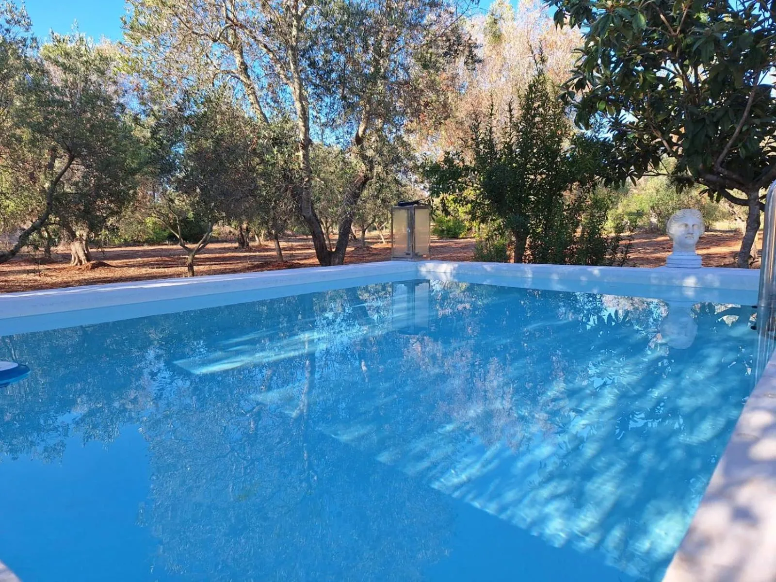 Swimming pool in Casa Trullo Bianco-Casa Olive