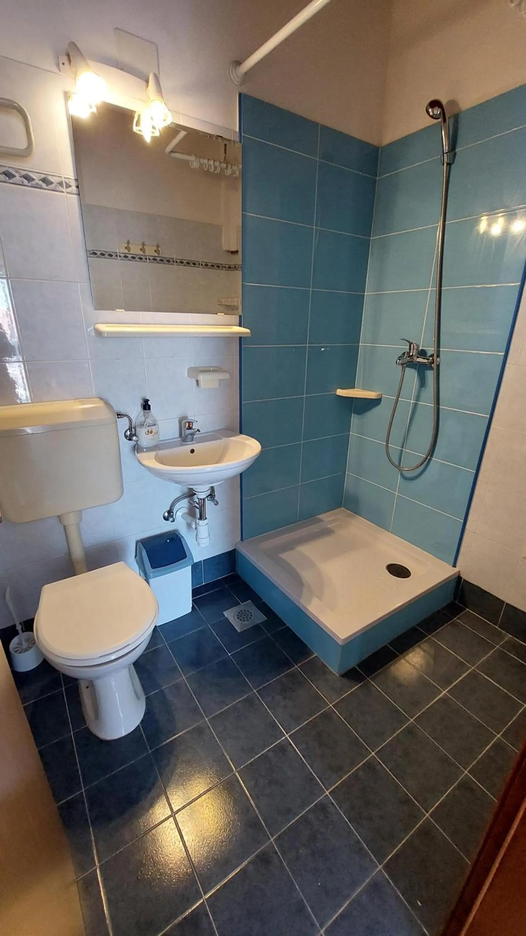 Toilet in Rooms and Apartment Matosevic