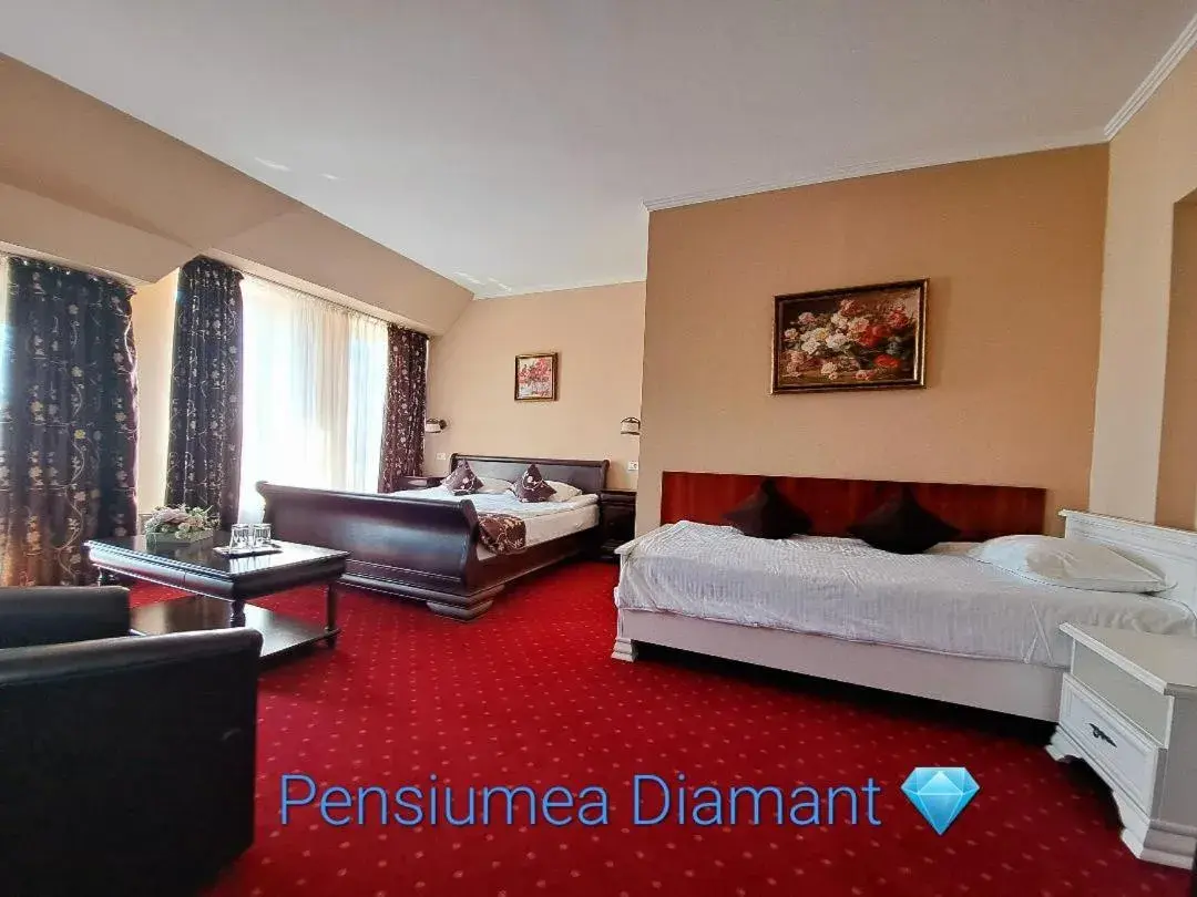Family Studio in Pensiunea Diamant Family Studio in Pensiunea Diamant