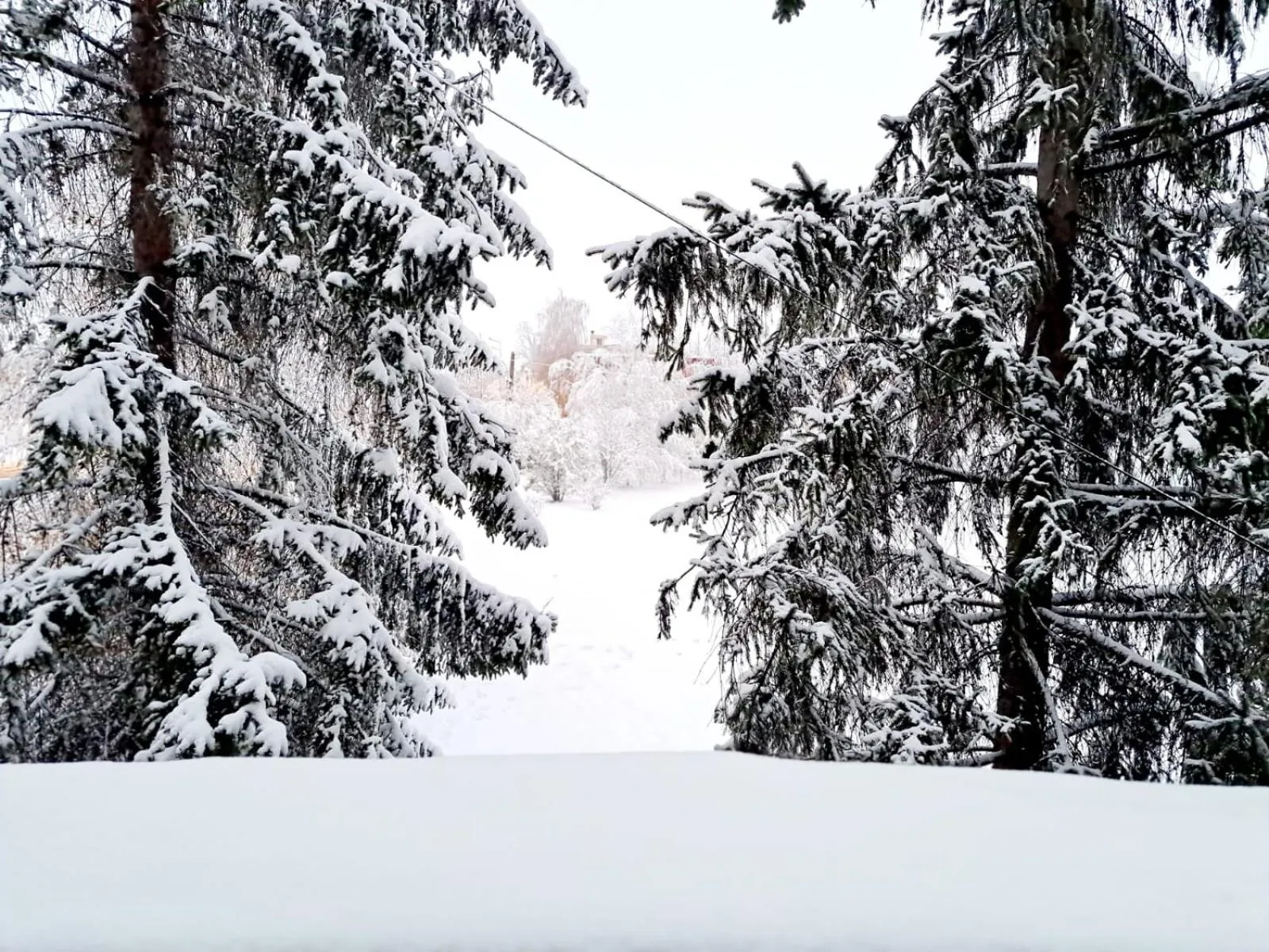 Natural landscape in Pensiunea Diamant
