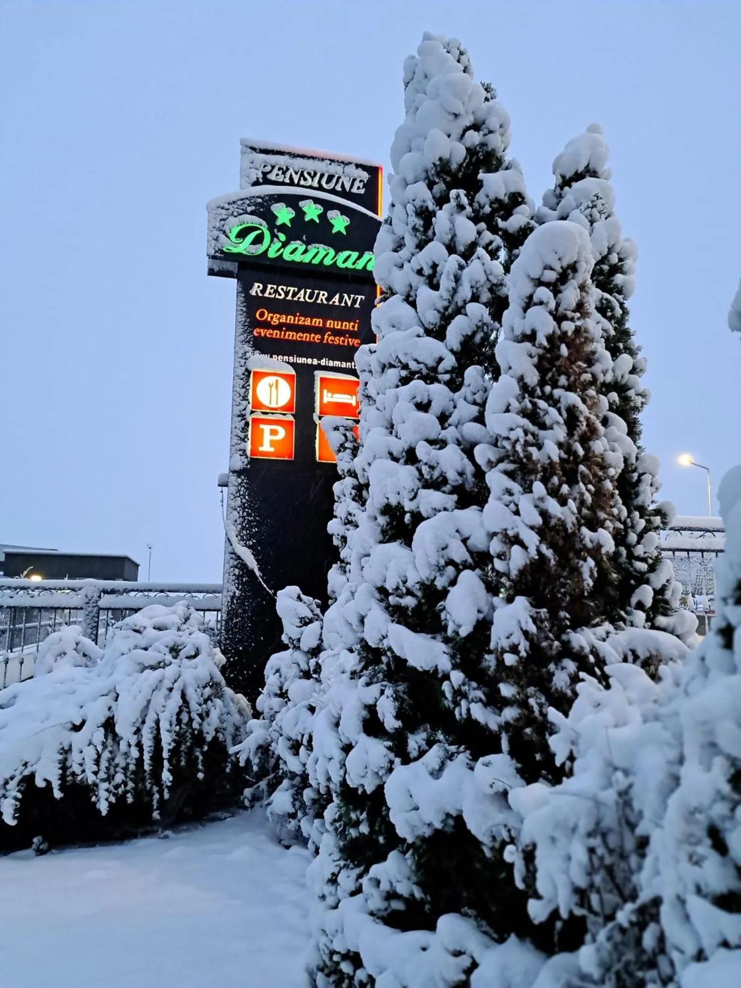 Winter in Pensiunea Diamant