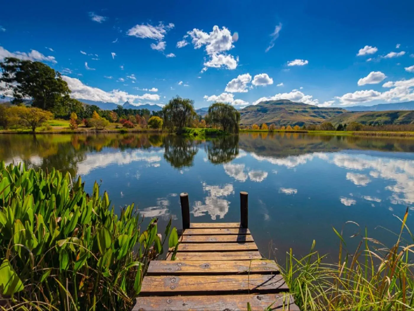 View (from property/room) in Lake Naverone Holiday Cottages