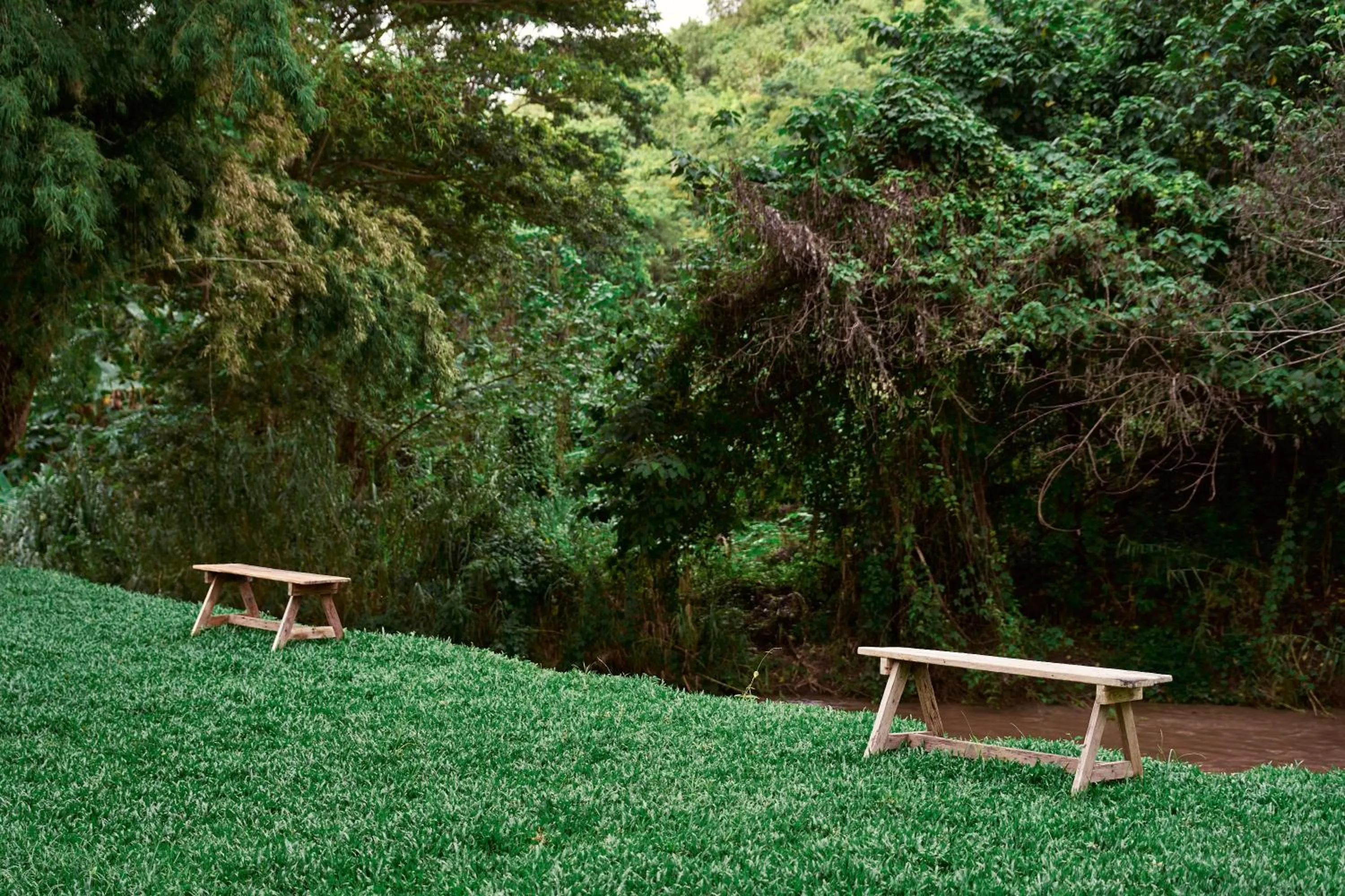 Garden in Baan Rai Santisuk
