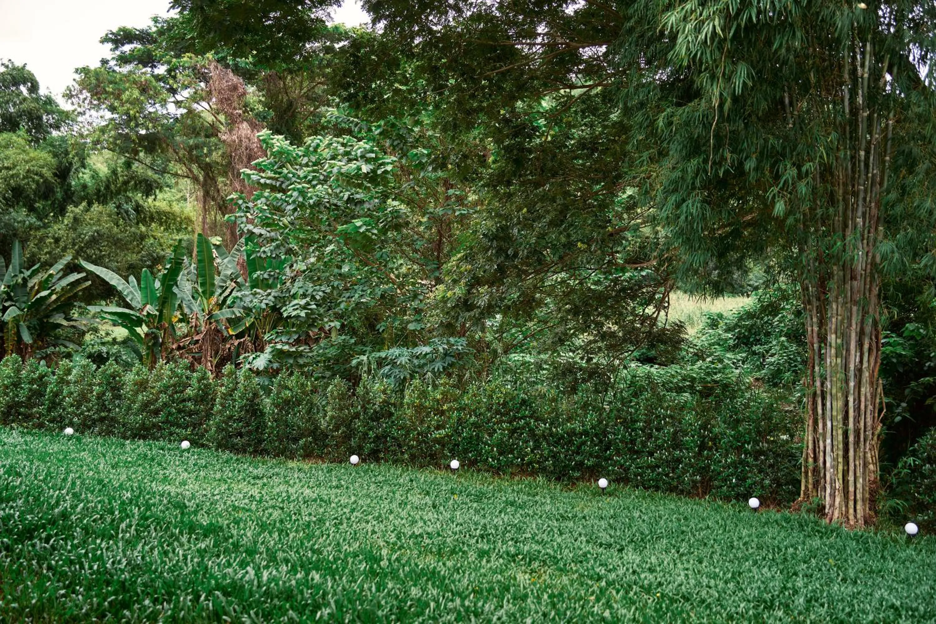 View (from property/room) in Baan Rai Santisuk