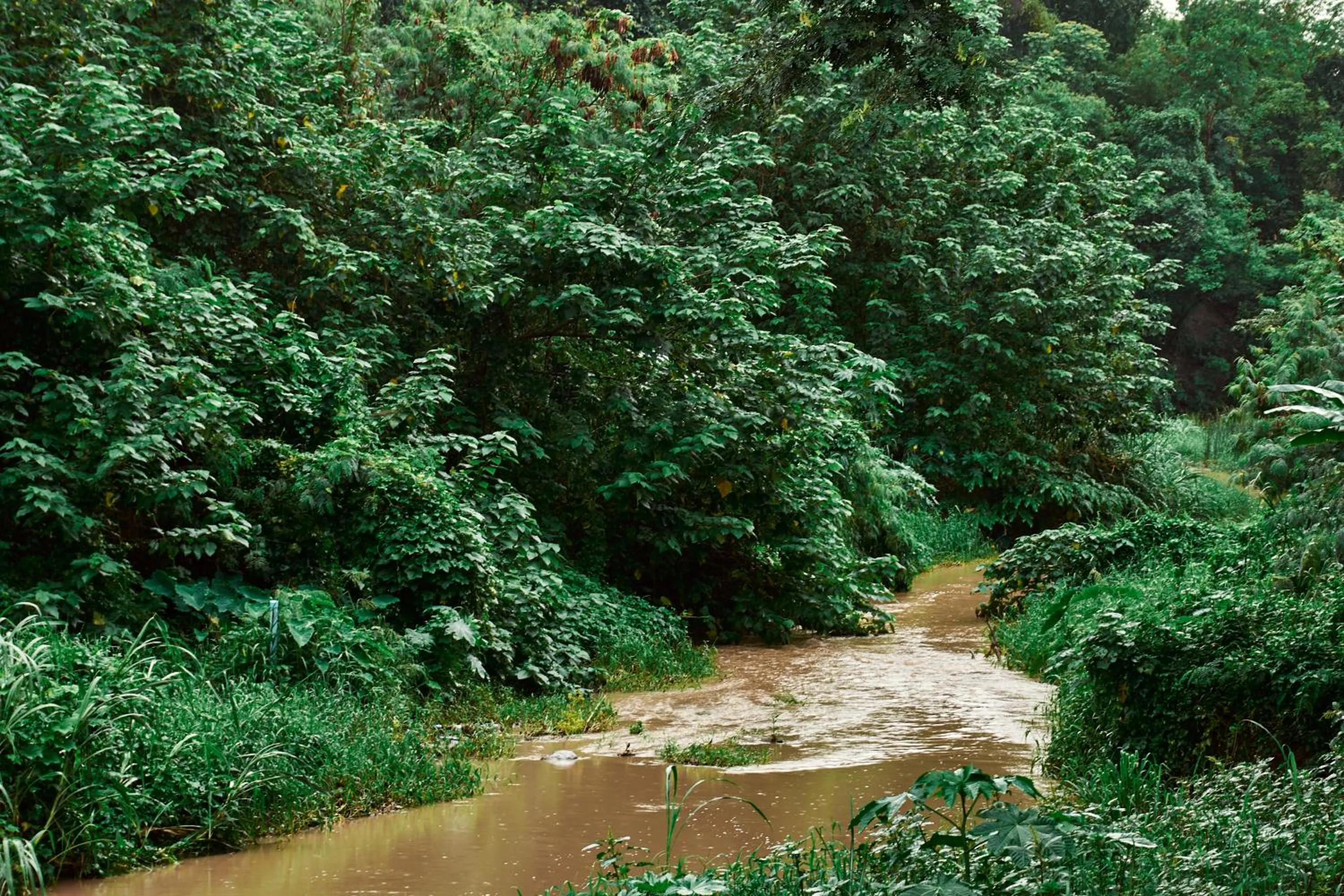 Natural landscape in Baan Rai Santisuk