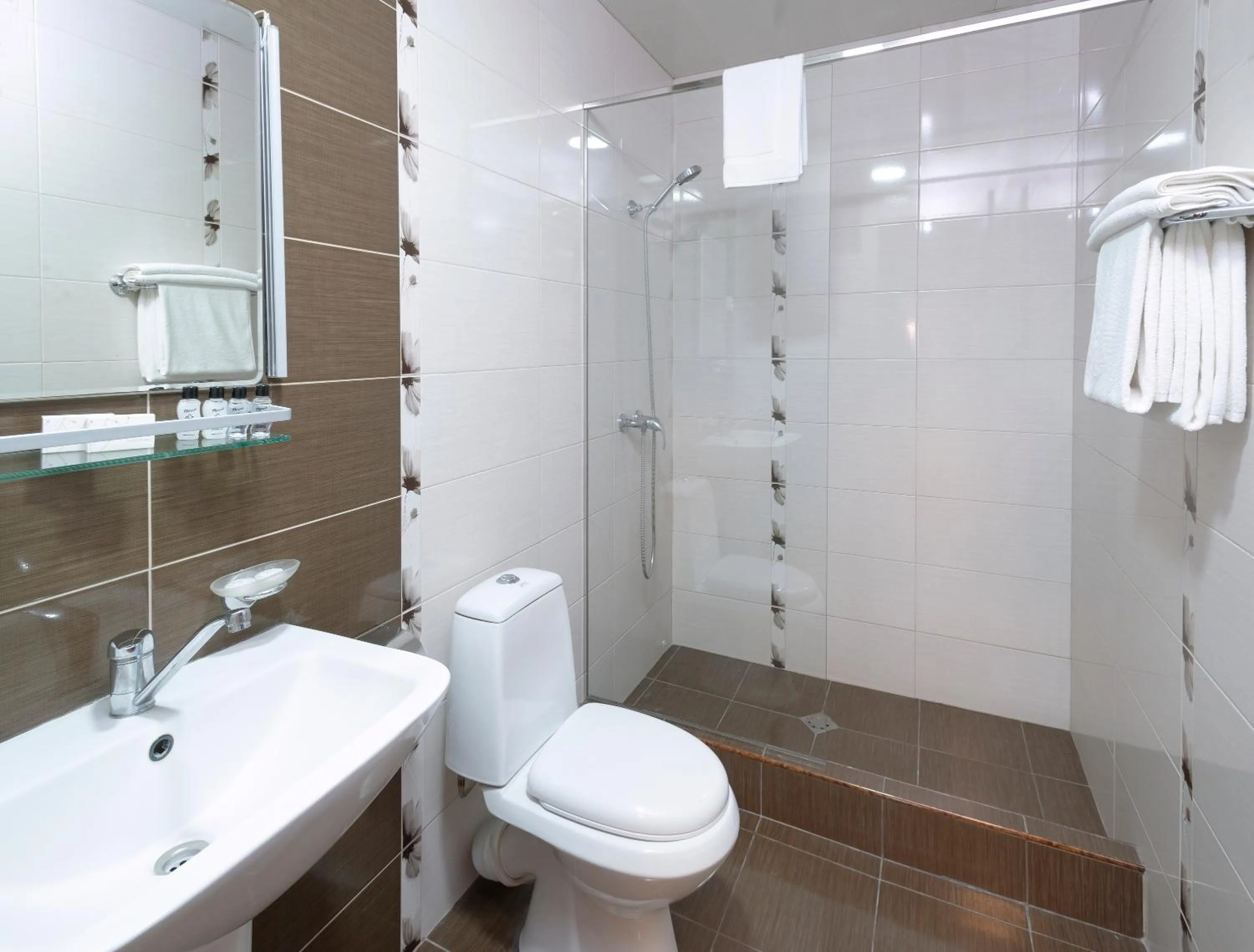 Shower in Ani Central Inn