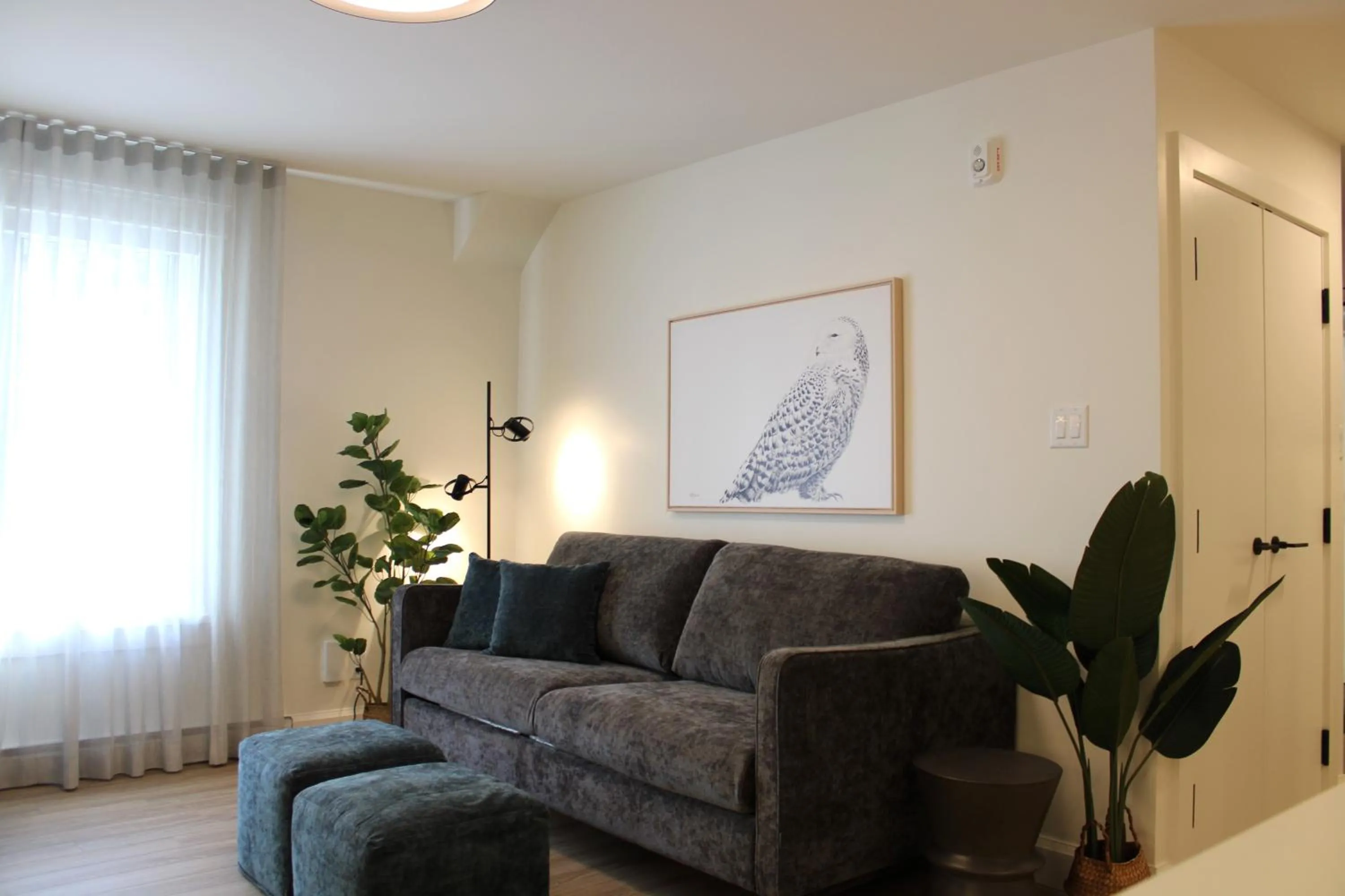 Living room in Le Héron - Studios Nature