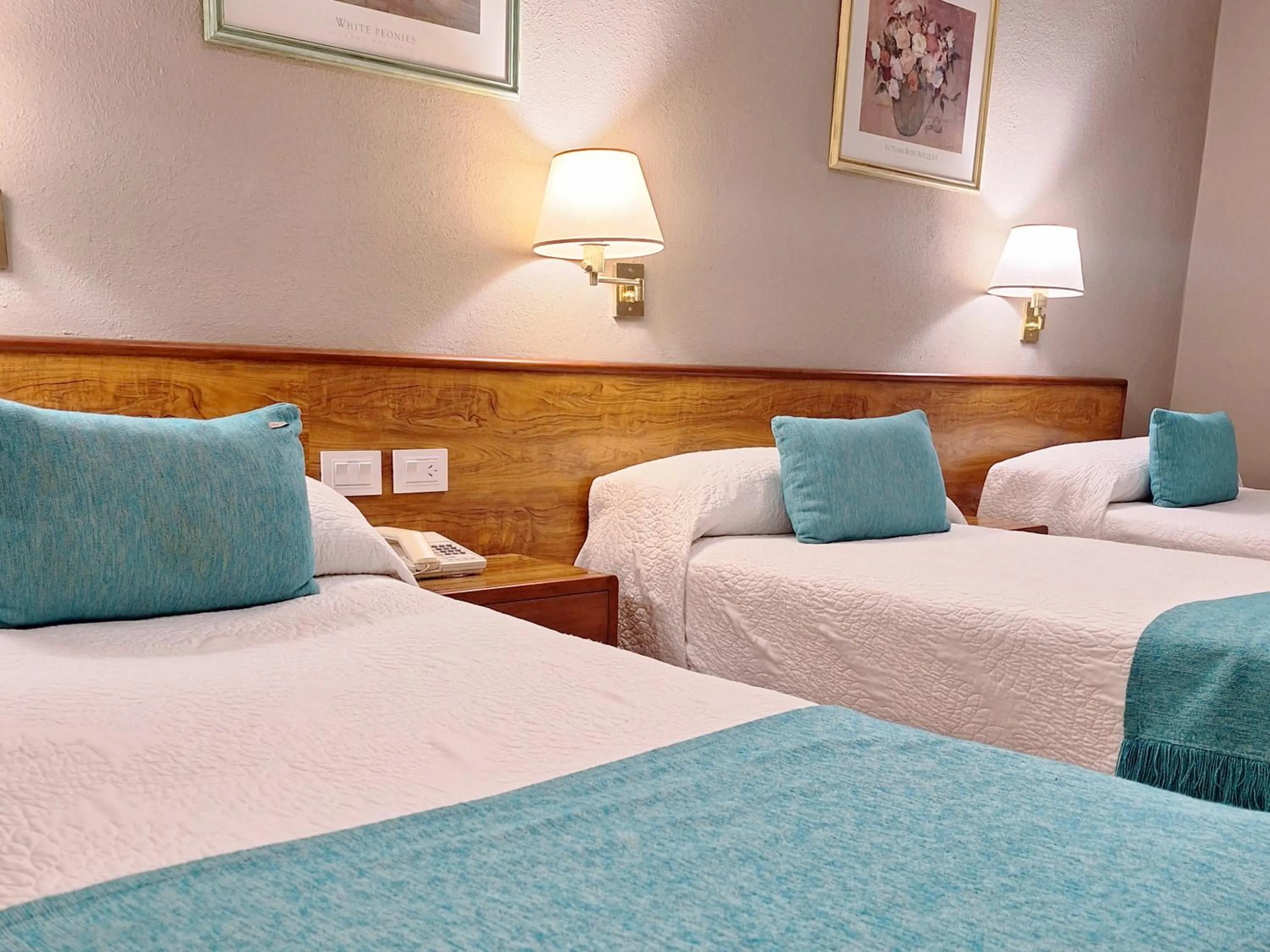 Hotel Centro