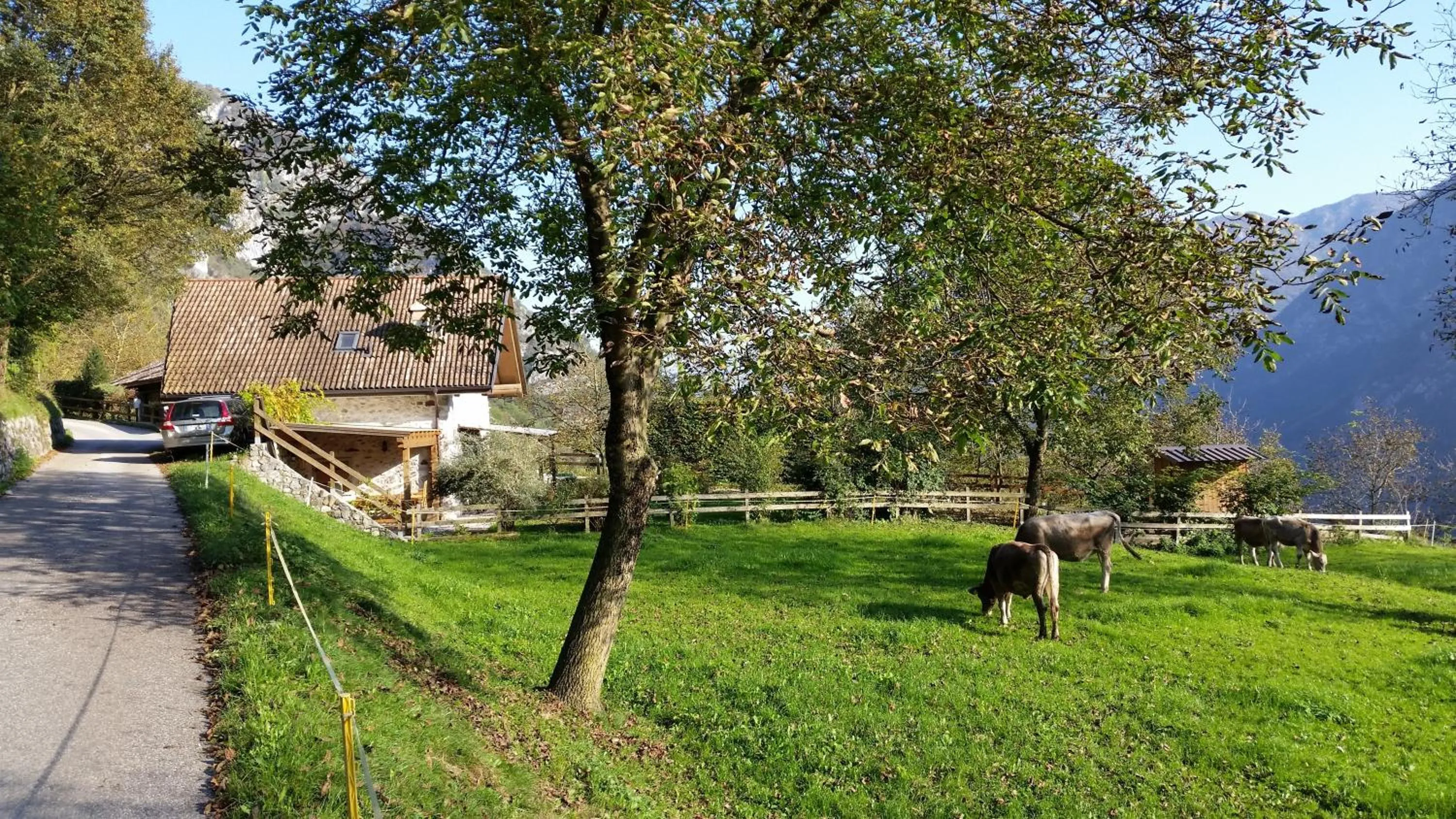 Facade/entrance in Chalet La Nos