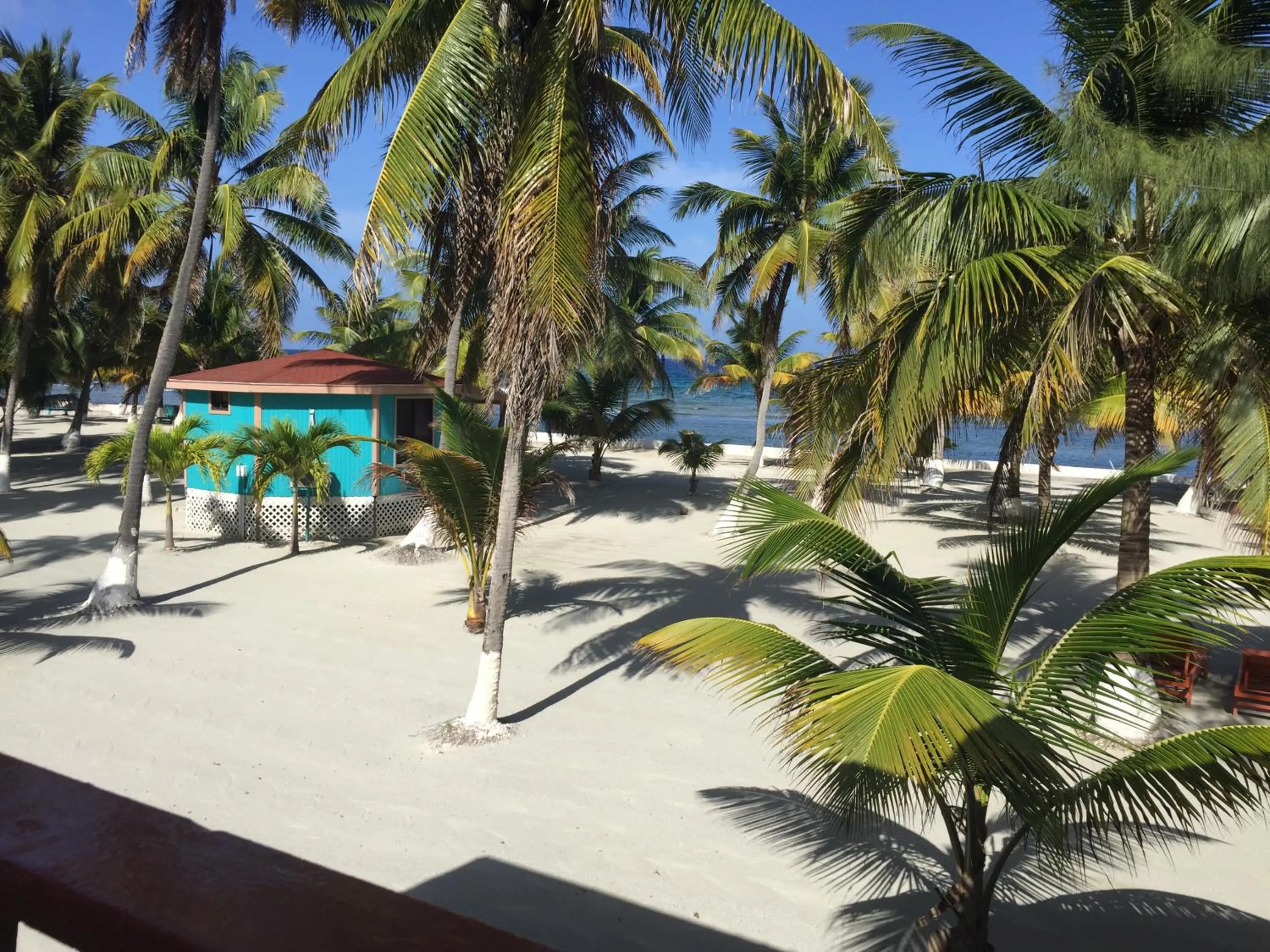 Natural landscape in Blue Marlin Beach Resort