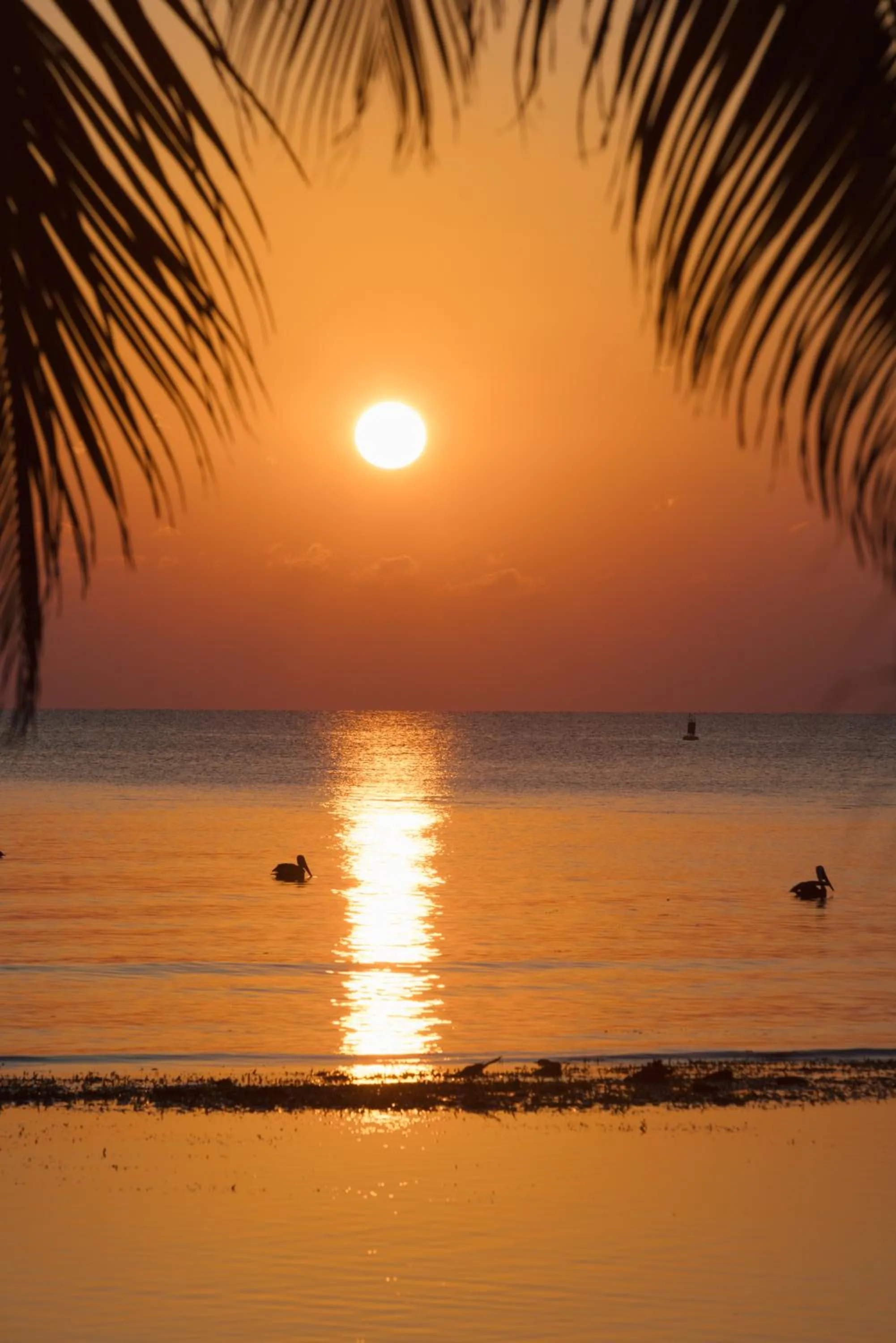 Blue Marlin Beach Resort