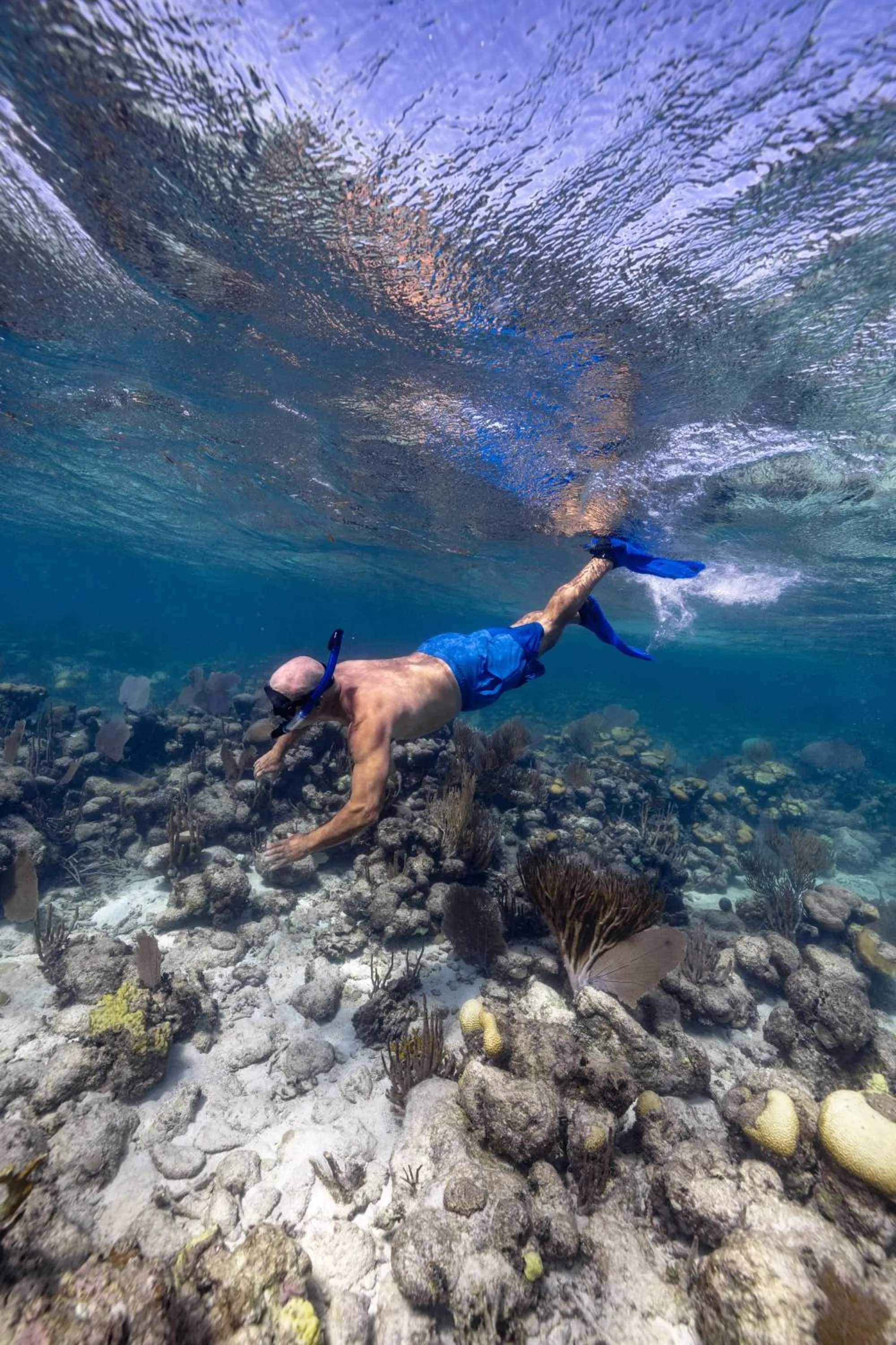 Blue Marlin Beach Resort