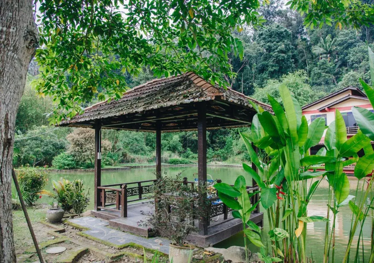 Lake view in Al Sakinah Resort Lake view in Al Sakinah Resort