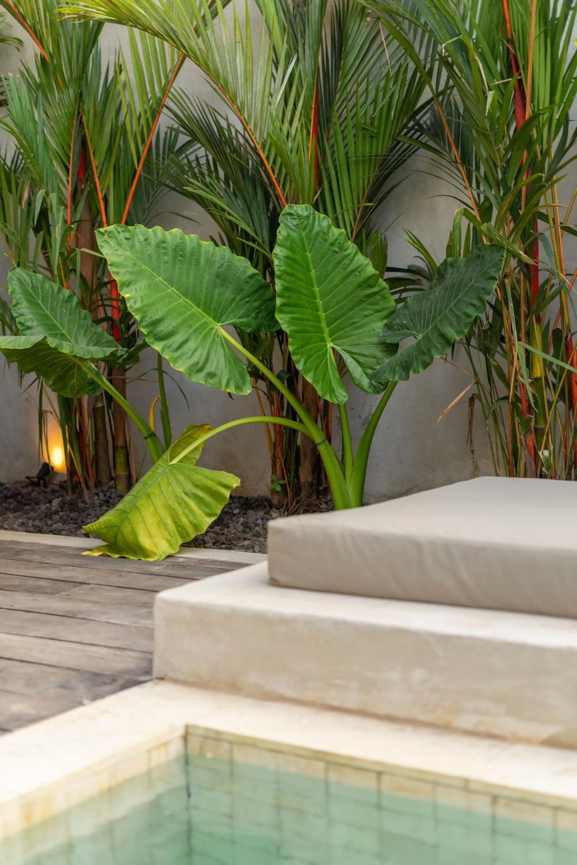 SIVANA, Hotel Boutique with ocean or garden views - Adults only