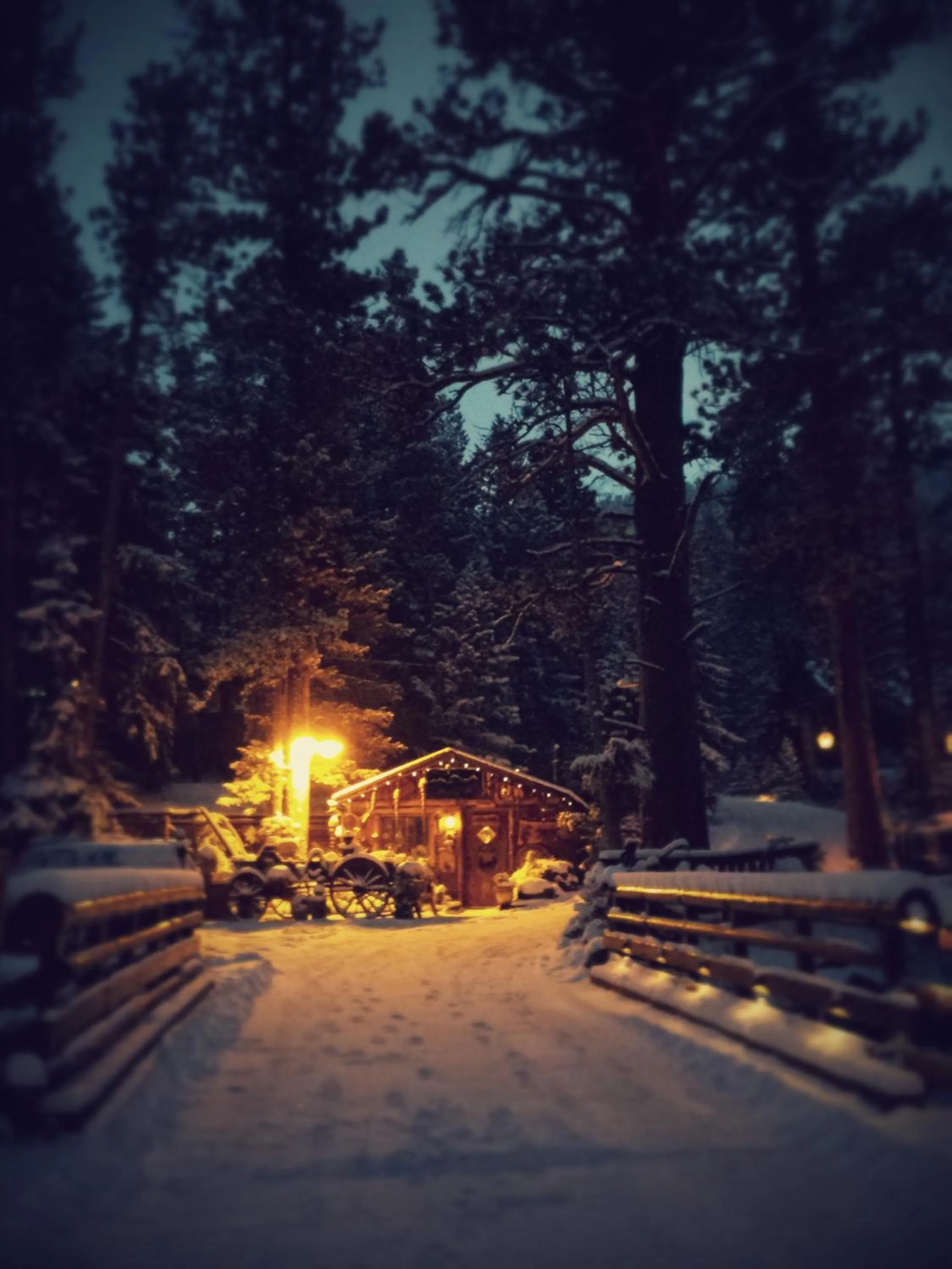 Winter in Pine Haven Resort