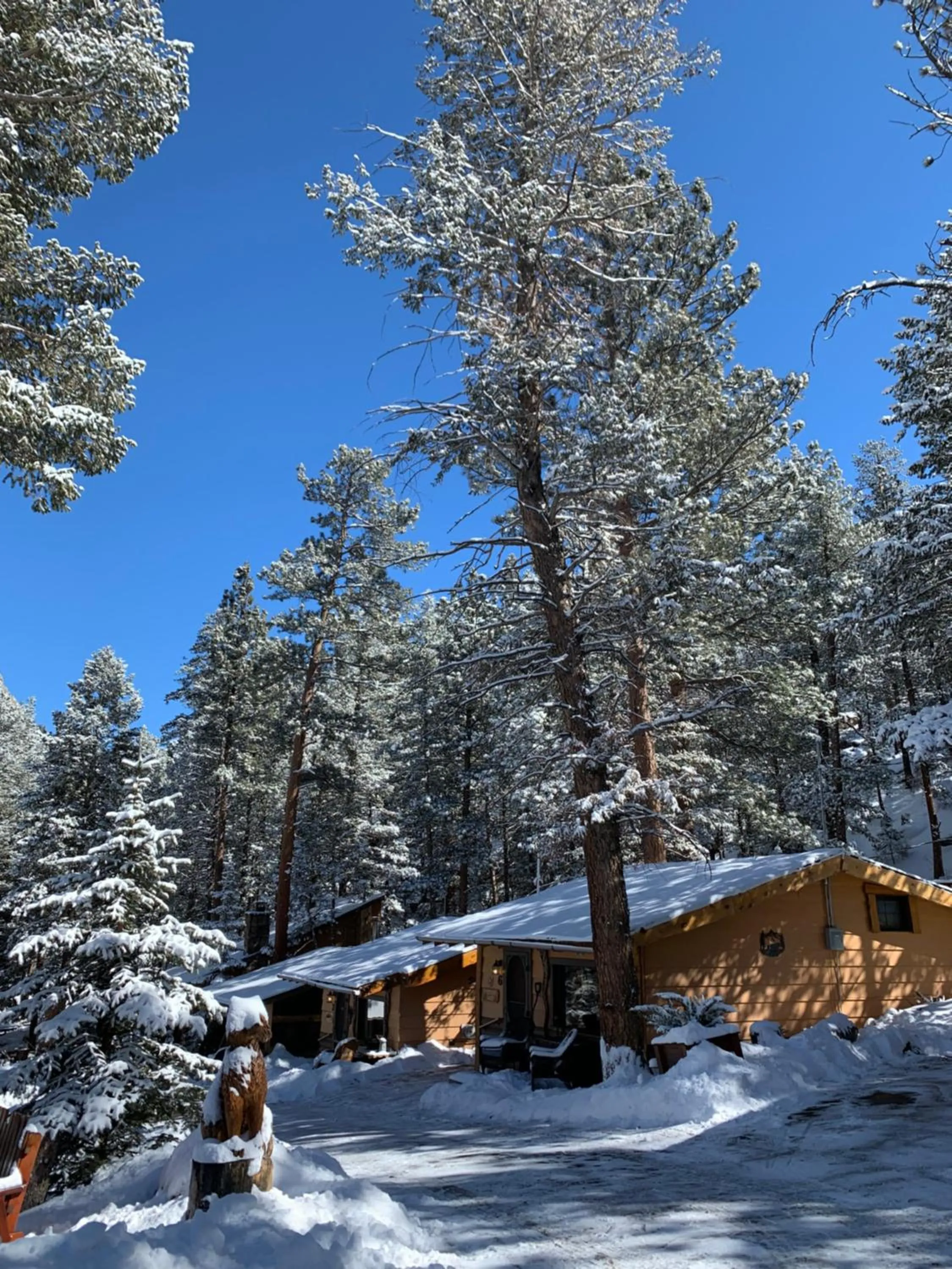 Winter in Pine Haven Resort