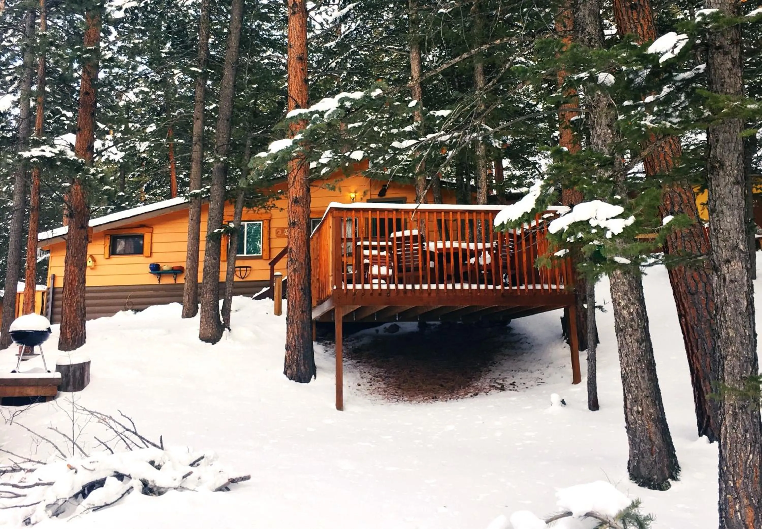 Photo of the whole room in Pine Haven Resort