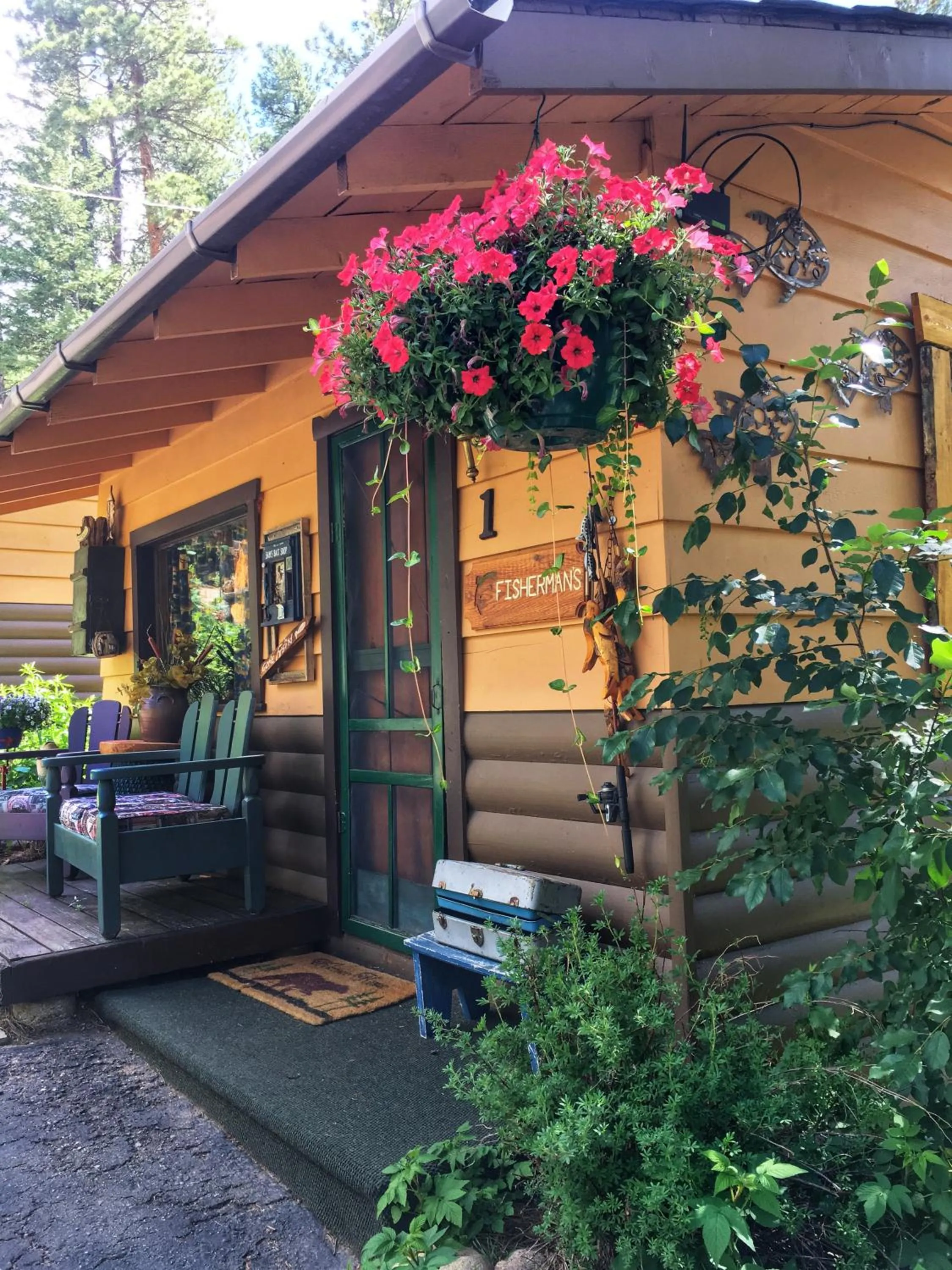Photo of the whole room in Pine Haven Resort