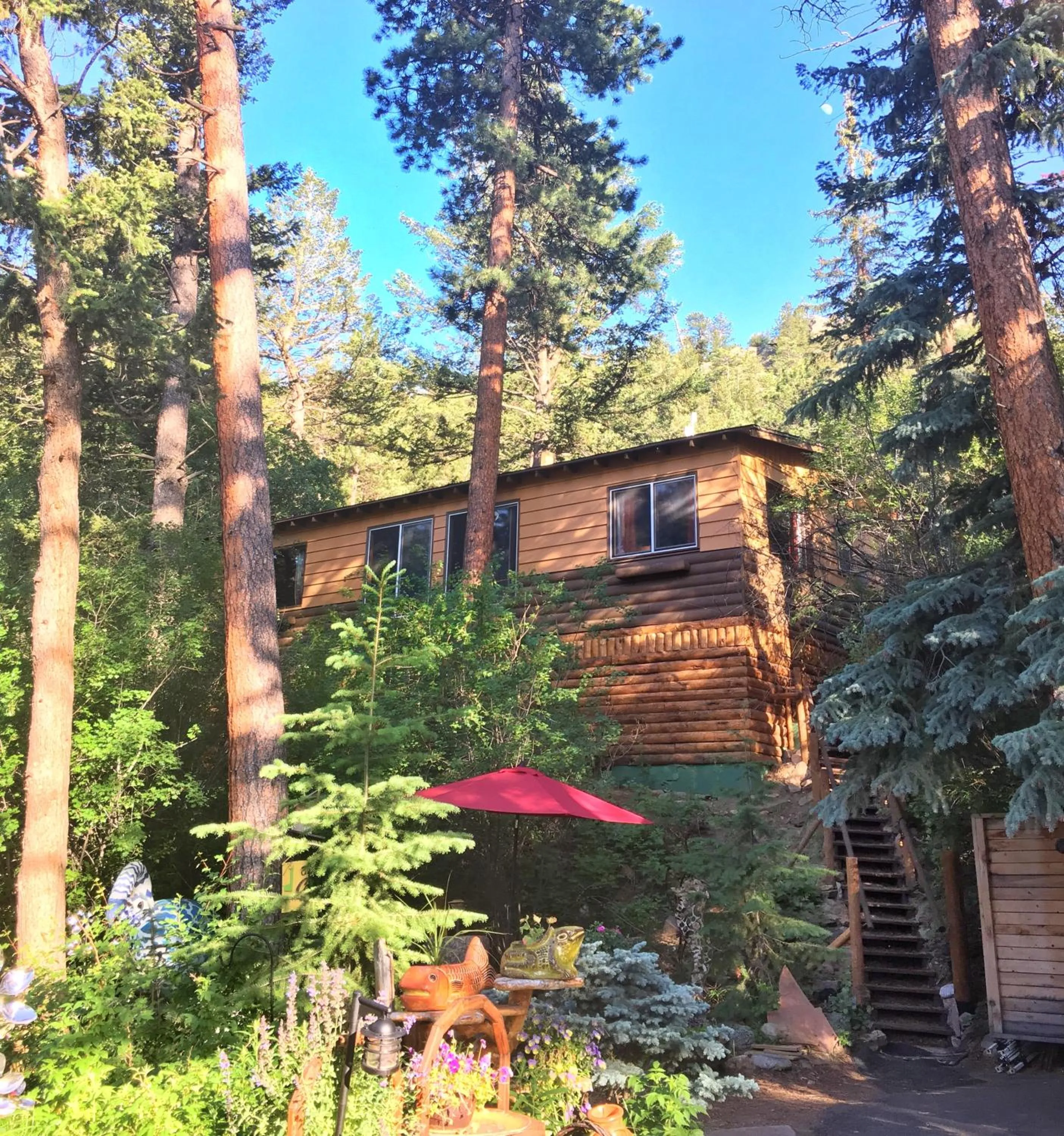 Photo of the whole room in Pine Haven Resort