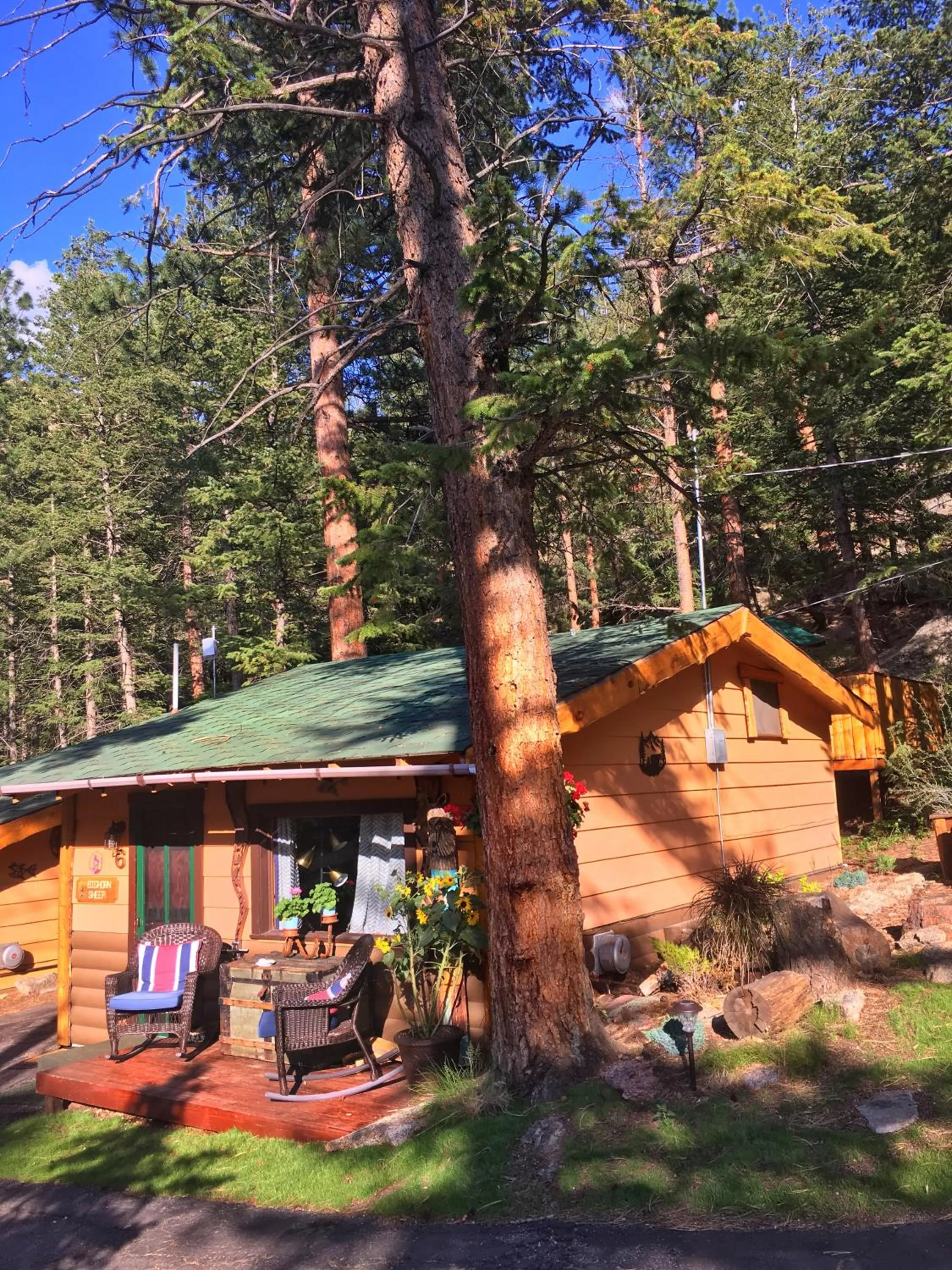 Photo of the whole room in Pine Haven Resort