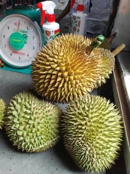 By The Sea Deluxe Condo @ Batu Ferringhi Penang