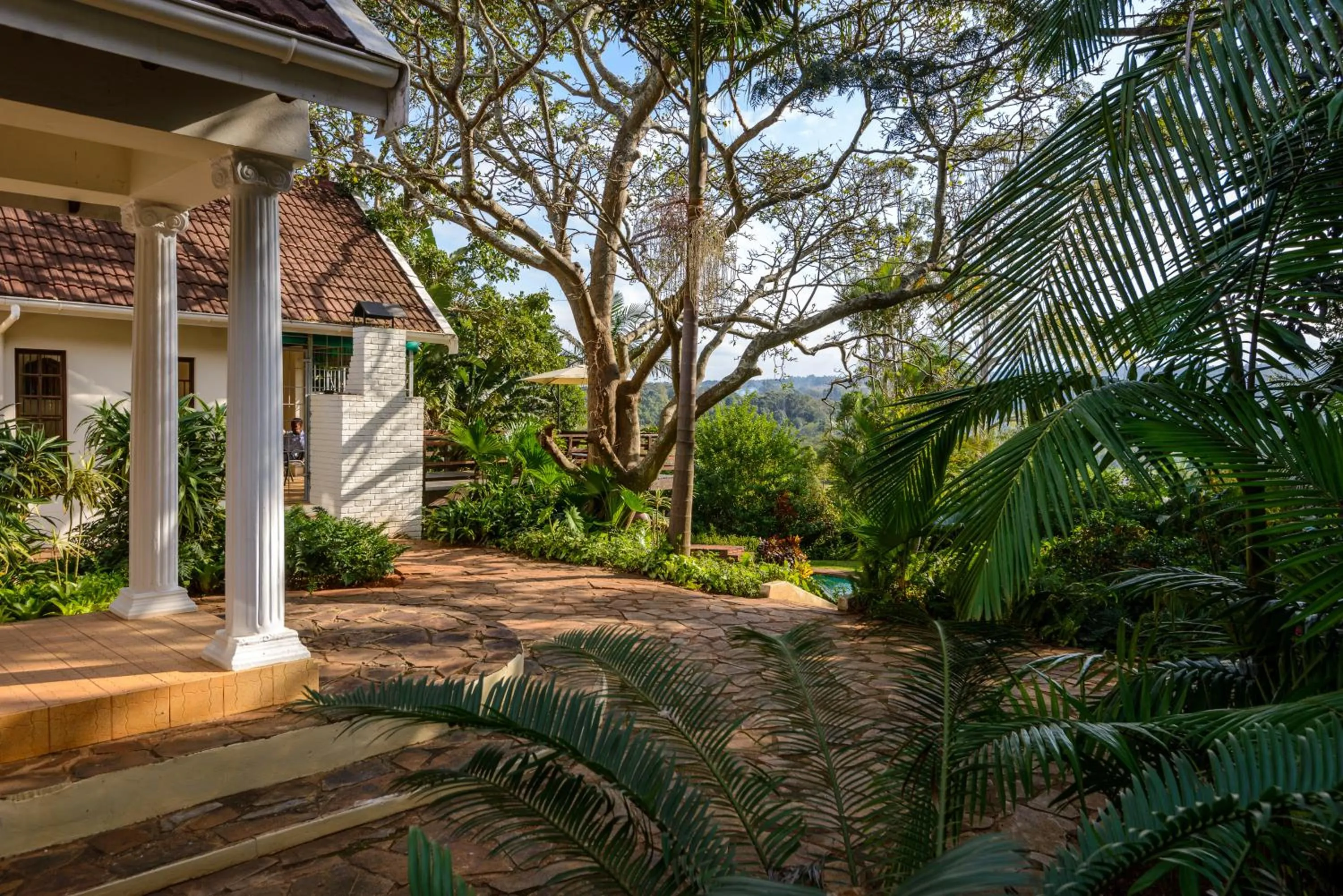 Garden view in Zesty Guesthouse