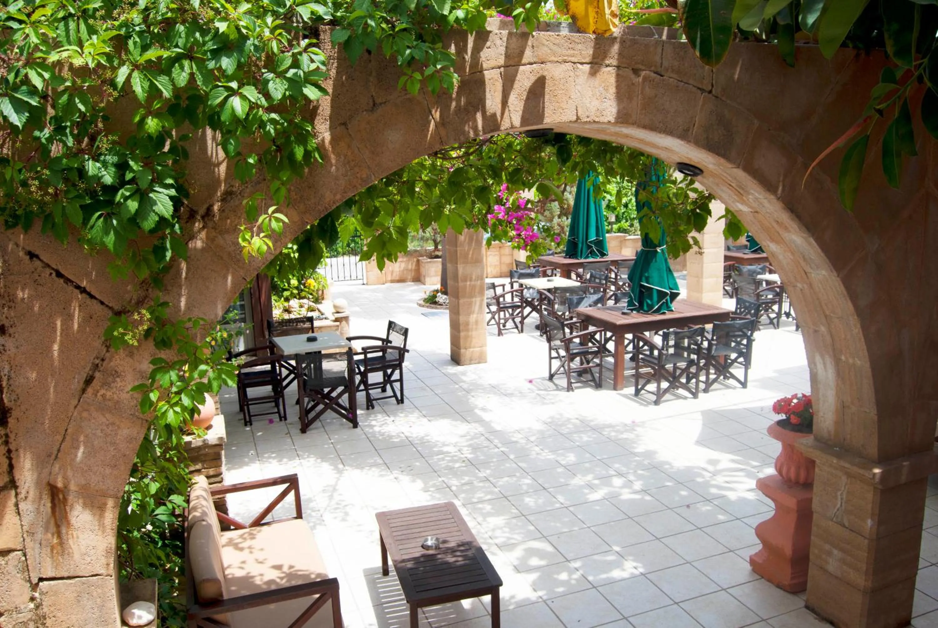 Garden in Laganas Beach Hotel