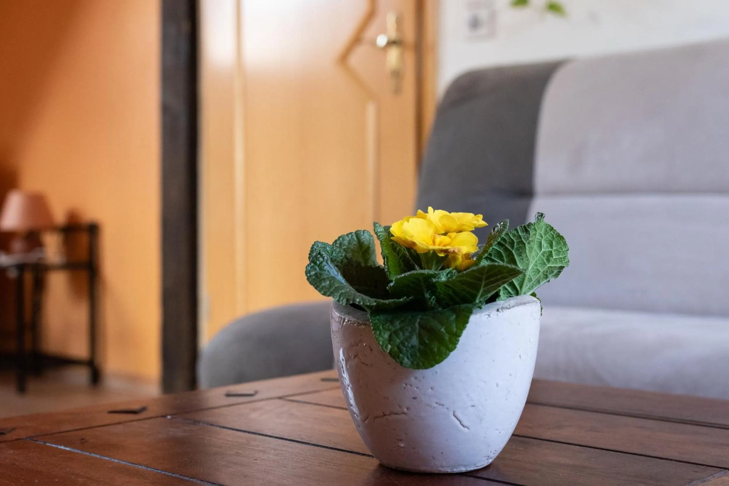 Ferienwohnung Prinke