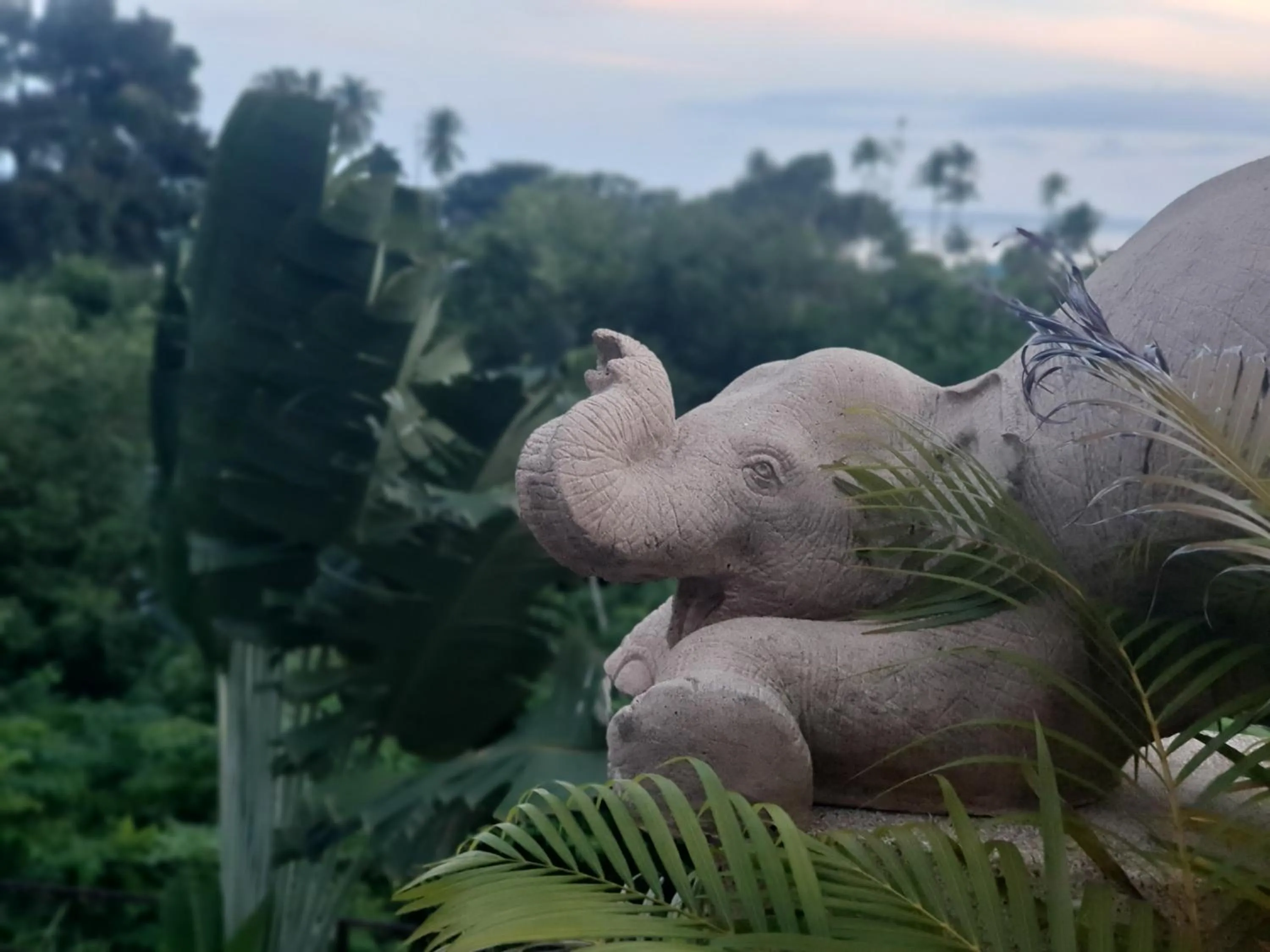 Natural landscape in Pink House