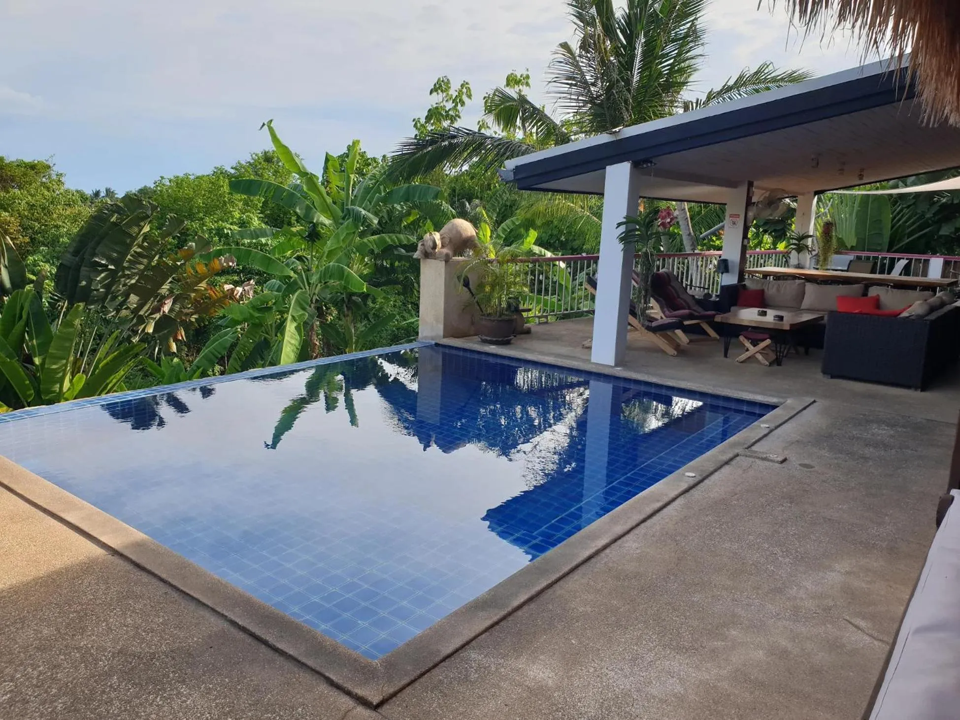 Swimming pool in Pink House