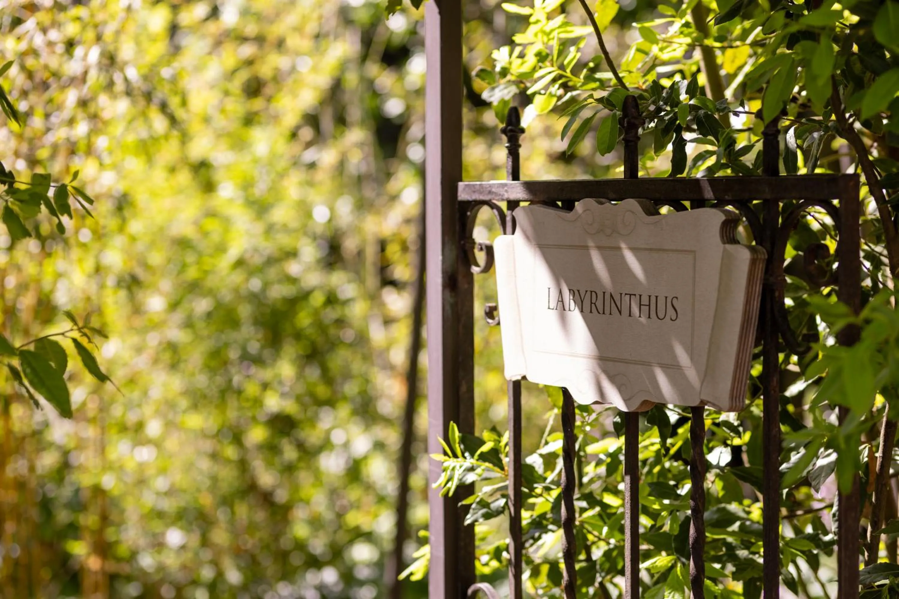 Day in QC Grand Hotel Roma