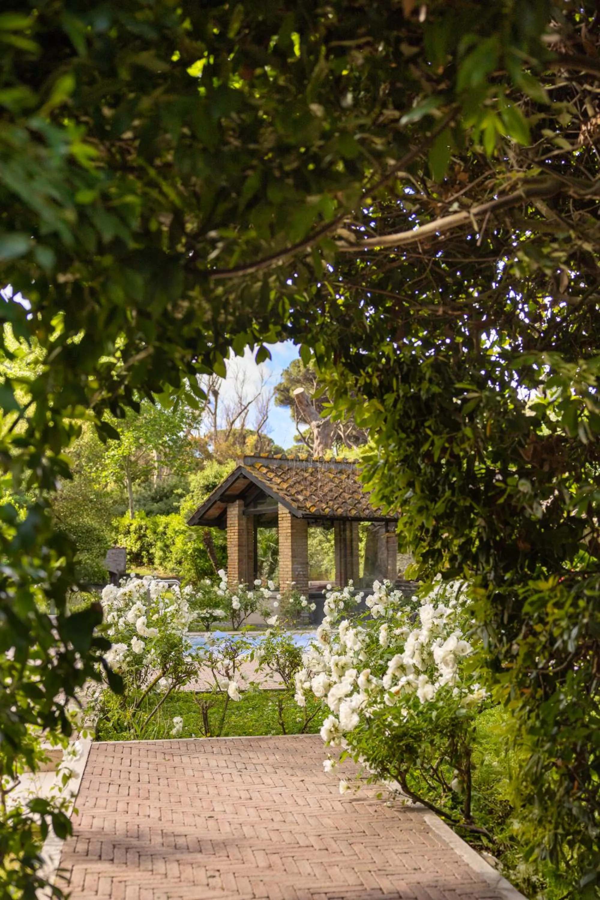 Day in QC Grand Hotel Roma