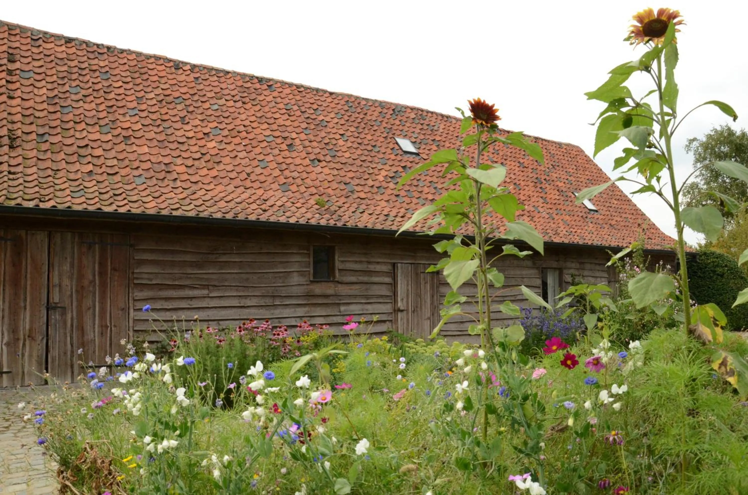 B&B De Hulst