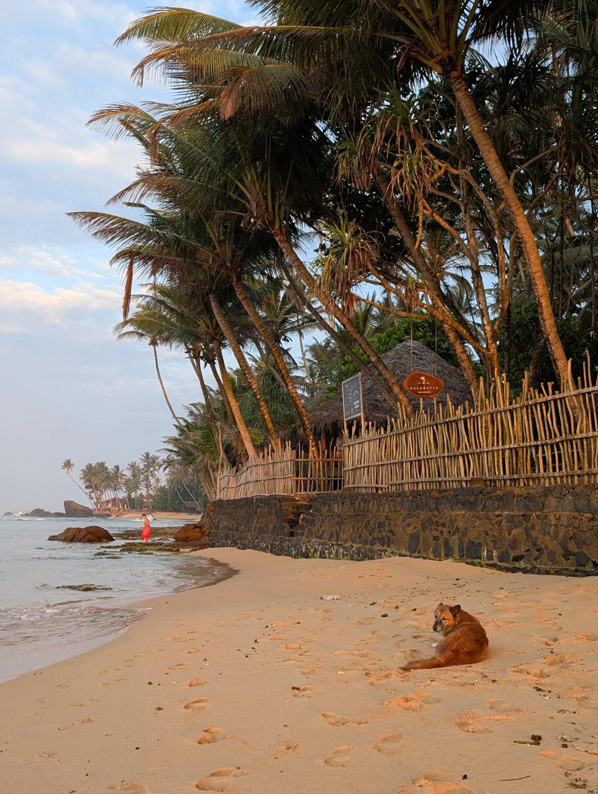 Beach in Galawatta Beach Resort