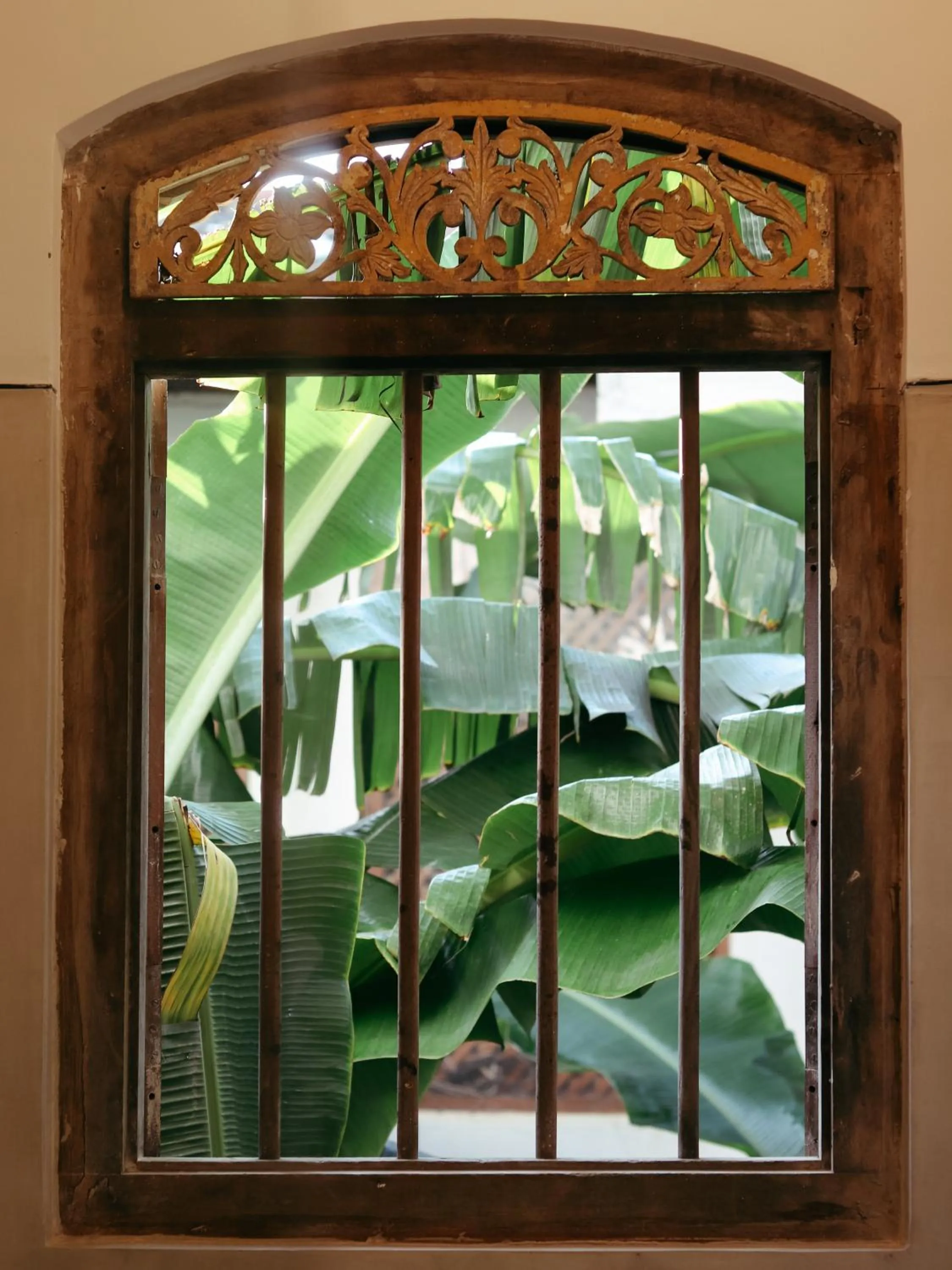Garden view in Galawatta Beach Resort