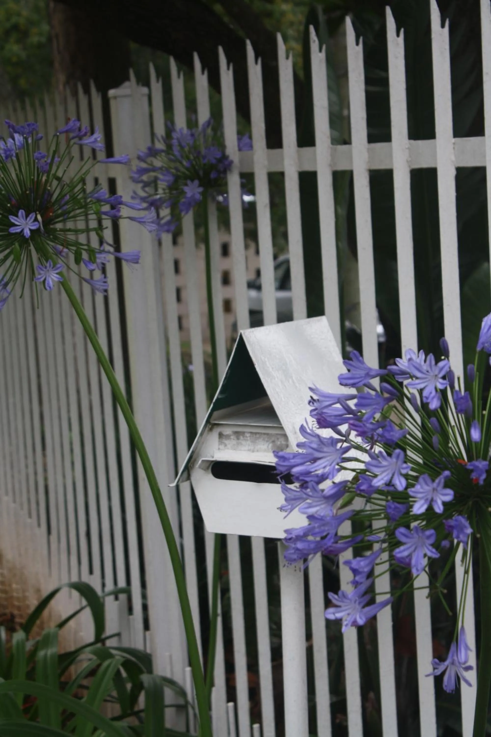 On site in Meander In