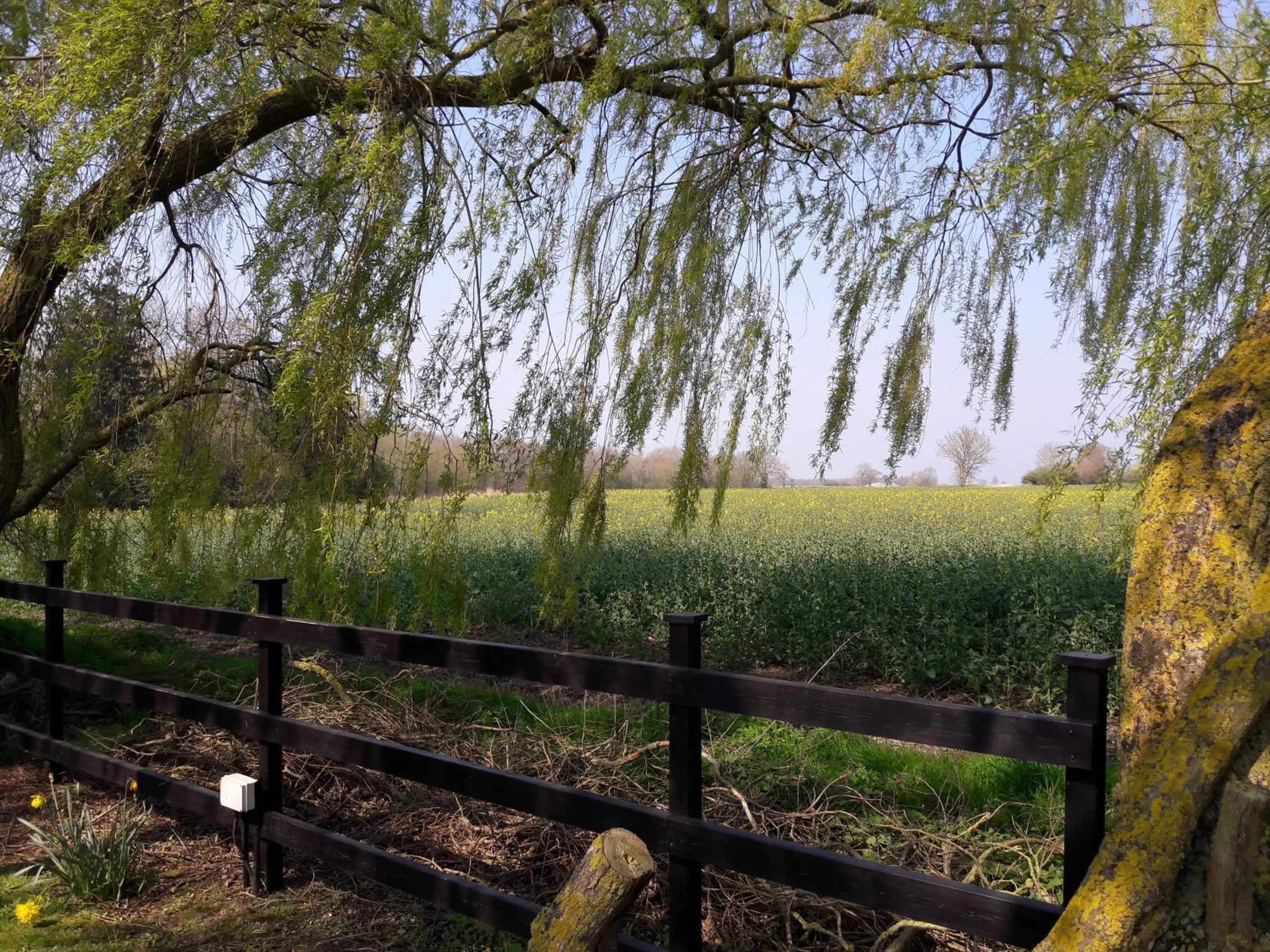 Natural landscape in The Farmhouse at Fincham