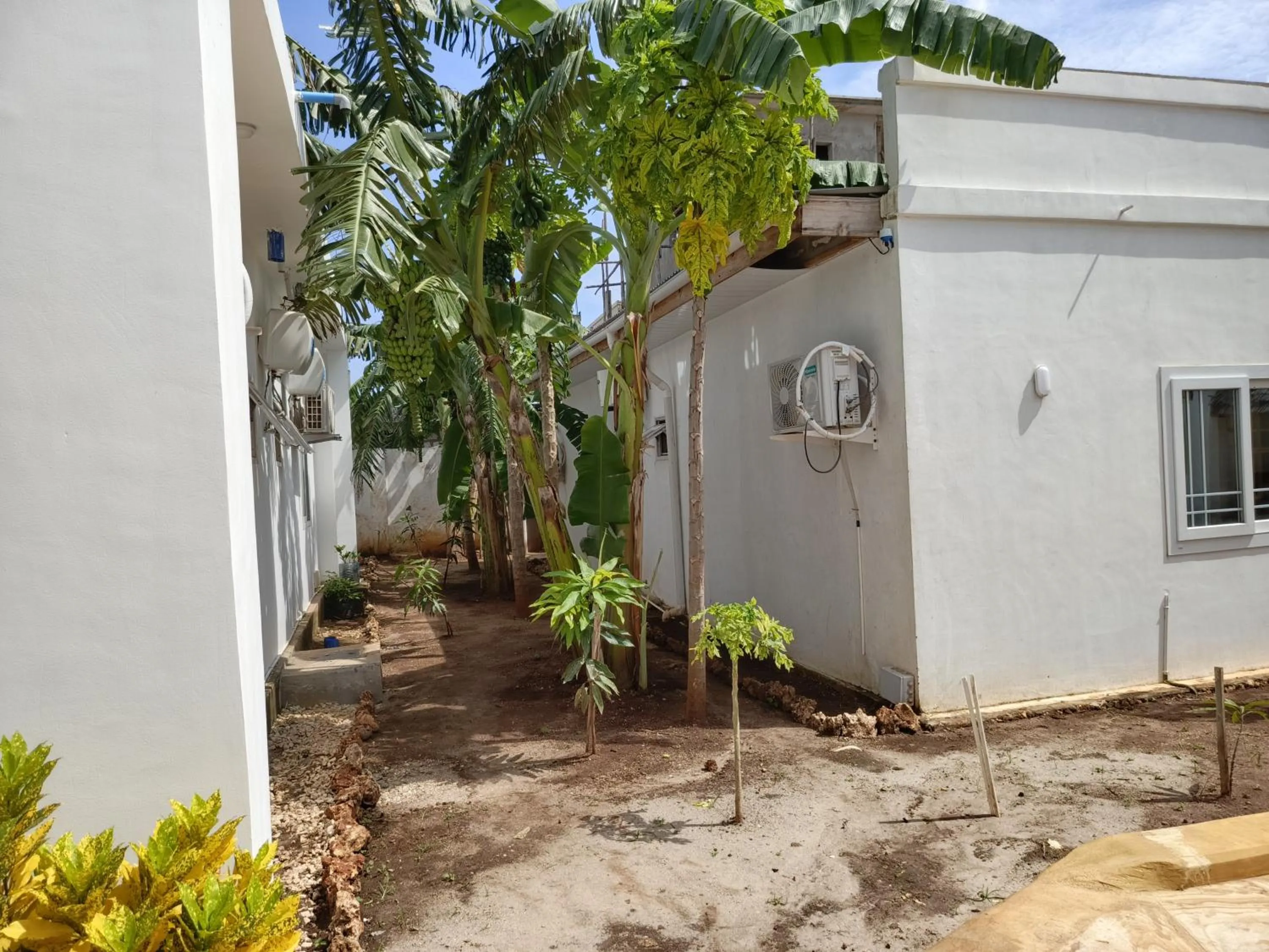 Diamond White Resort