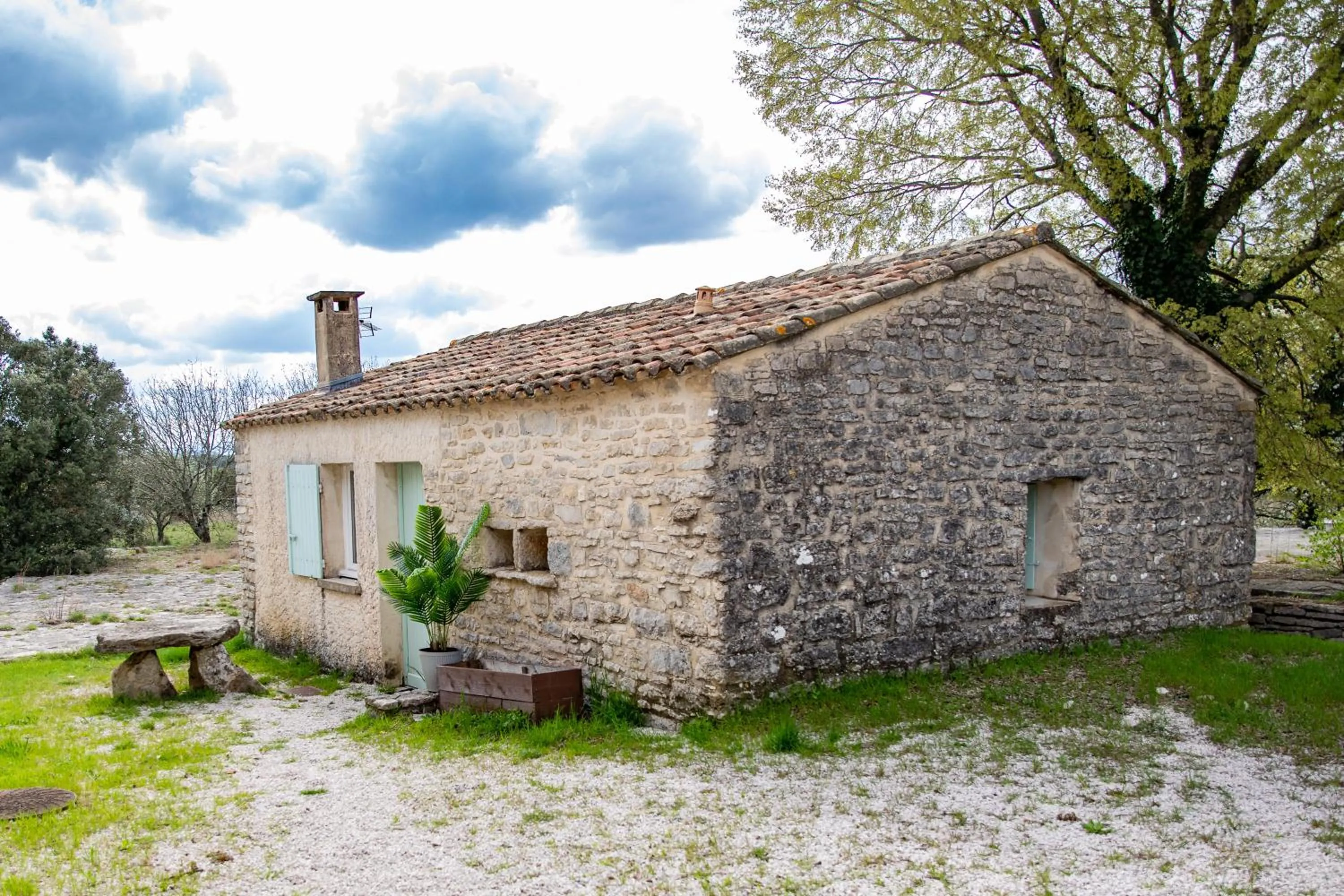 View (from property/room) in Mas De Baumes